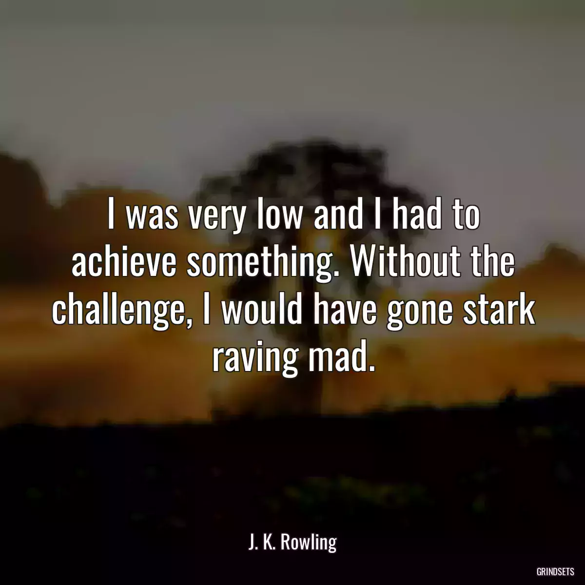 I was very low and I had to achieve something. Without the challenge, I would have gone stark raving mad.