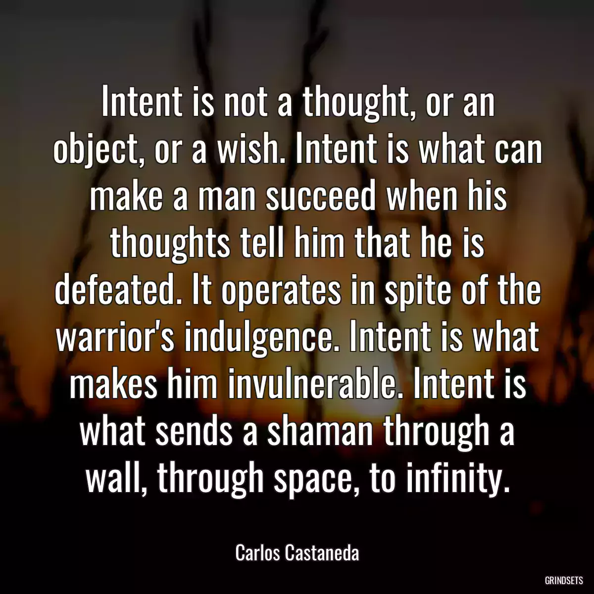 Intent is not a thought, or an object, or a wish. Intent is what can make a man succeed when his thoughts tell him that he is defeated. It operates in spite of the warrior\'s indulgence. Intent is what makes him invulnerable. Intent is what sends a shaman through a wall, through space, to infinity.