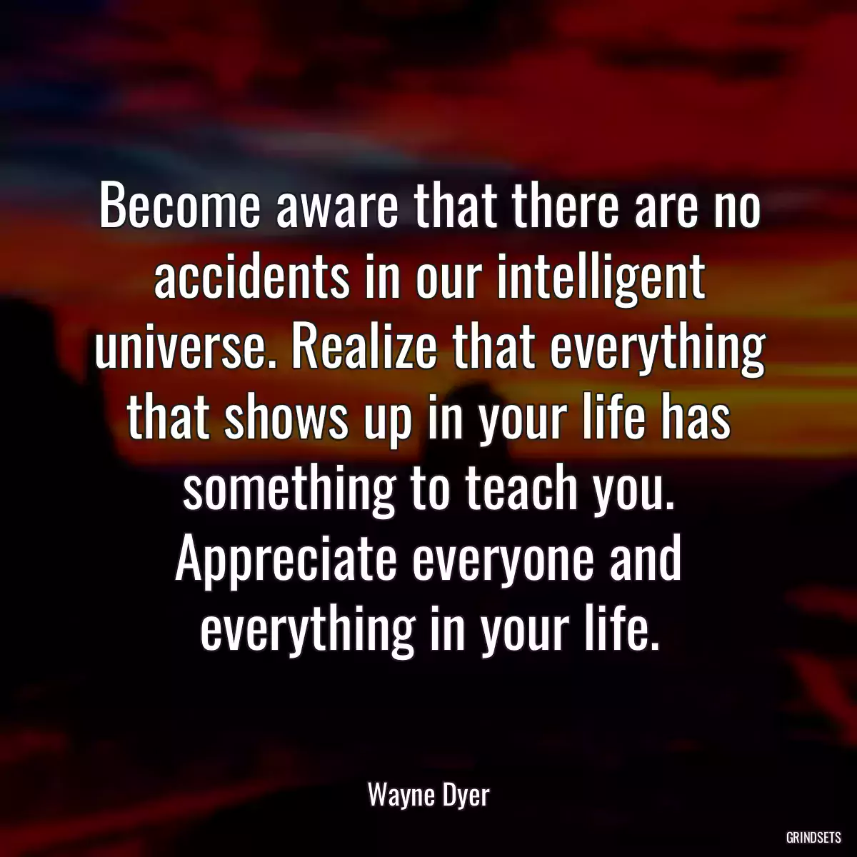 Become aware that there are no accidents in our intelligent universe. Realize that everything that shows up in your life has something to teach you. Appreciate everyone and everything in your life.