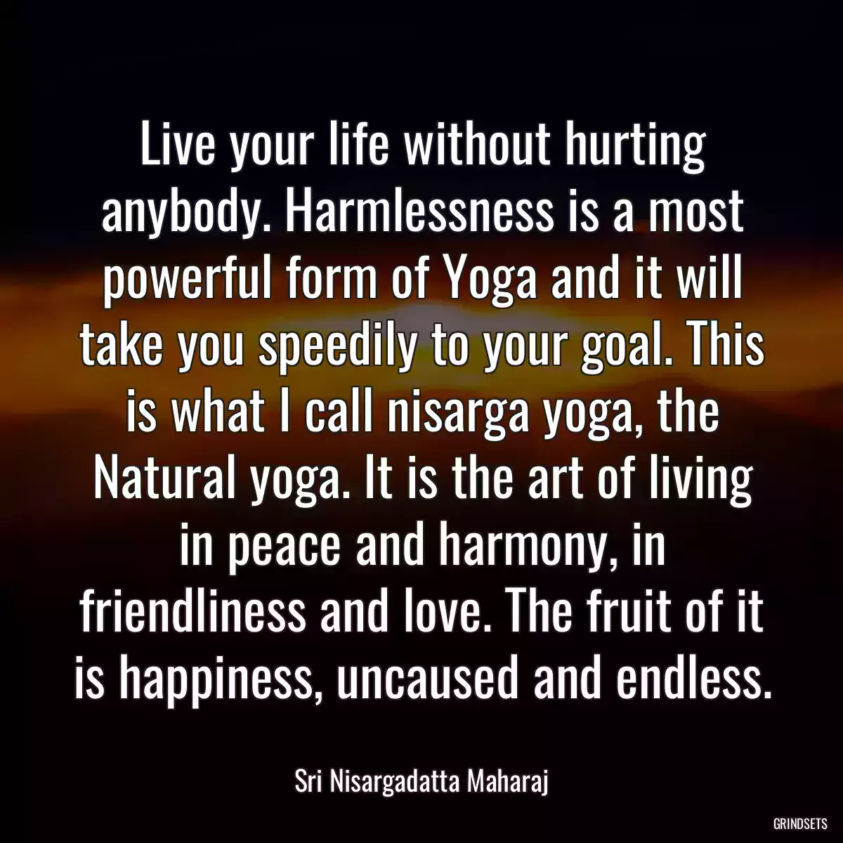 Live your life without hurting anybody. Harmlessness is a most powerful form of Yoga and it will take you speedily to your goal. This is what I call nisarga yoga, the Natural yoga. It is the art of living in peace and harmony, in friendliness and love. The fruit of it is happiness, uncaused and endless.