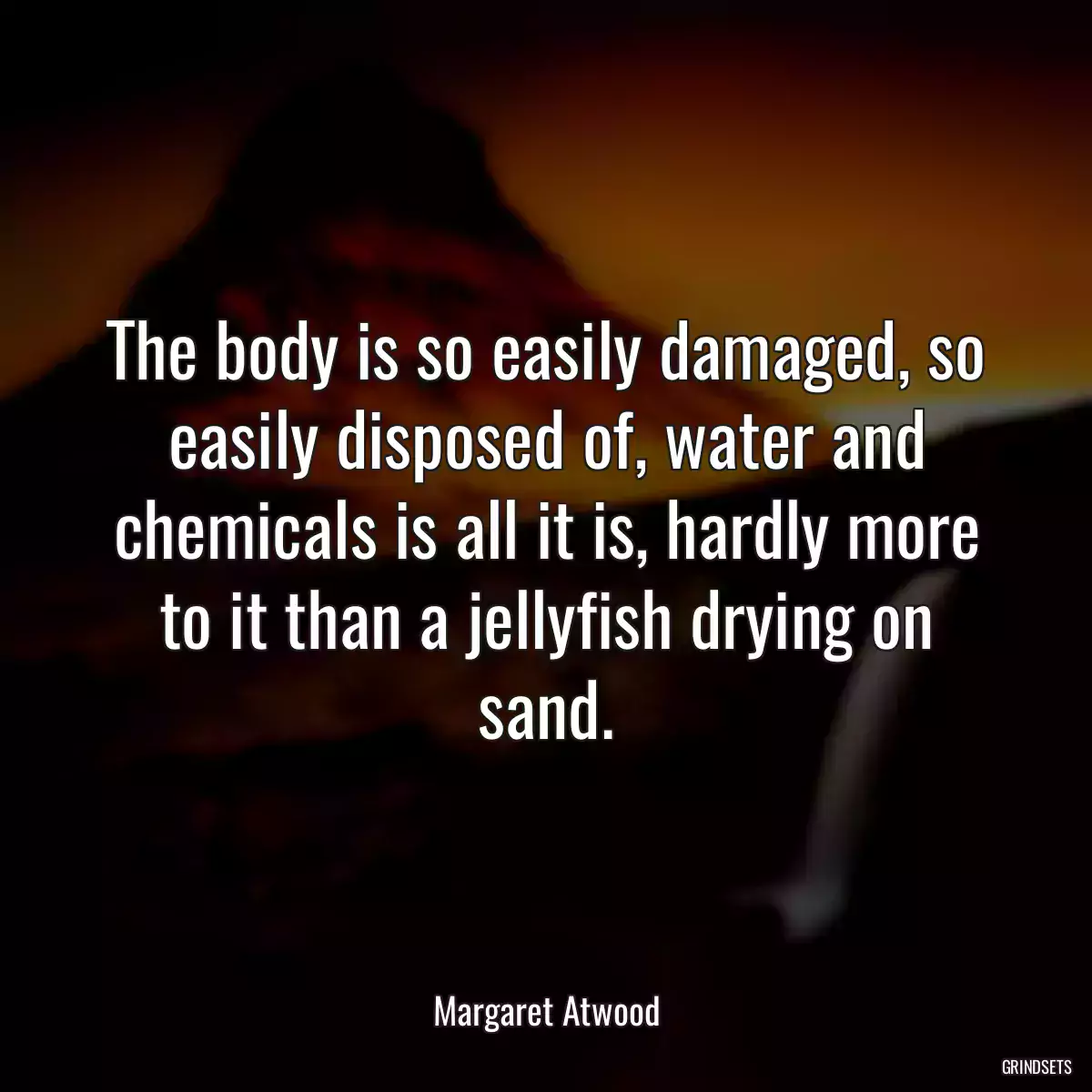 The body is so easily damaged, so easily disposed of, water and chemicals is all it is, hardly more to it than a jellyfish drying on sand.