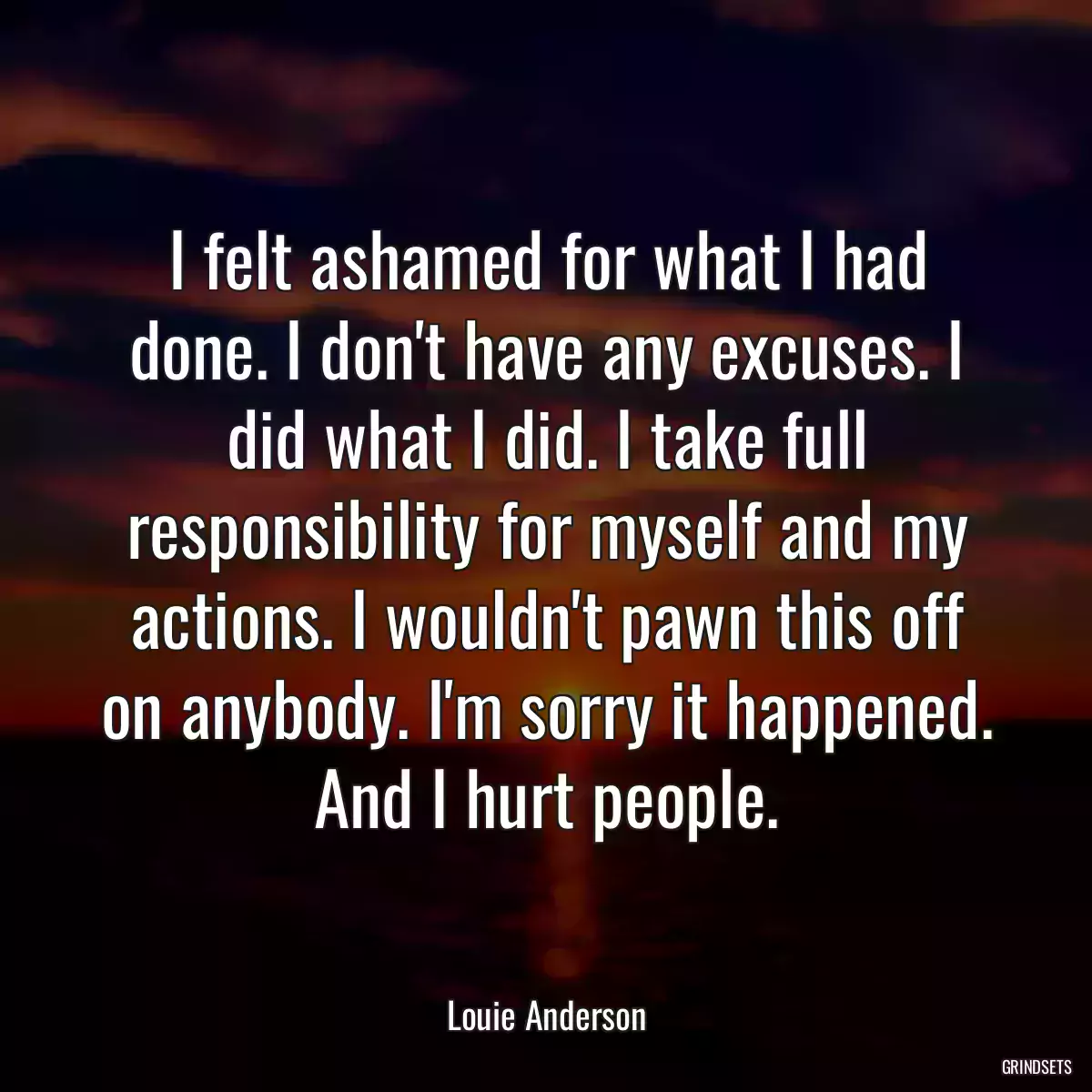 I felt ashamed for what I had done. I don\'t have any excuses. I did what I did. I take full responsibility for myself and my actions. I wouldn\'t pawn this off on anybody. I\'m sorry it happened. And I hurt people.