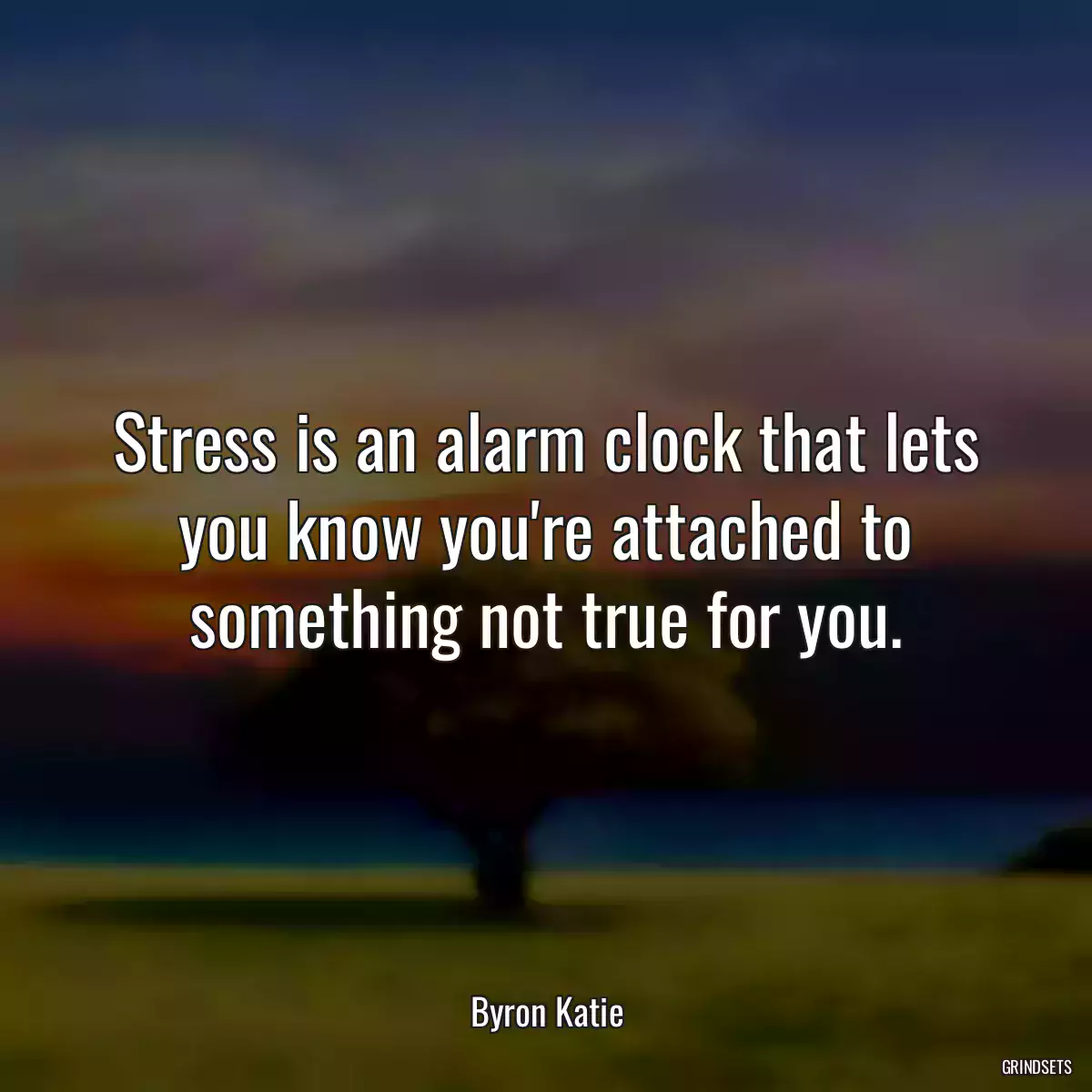 Stress is an alarm clock that lets you know you\'re attached to something not true for you.