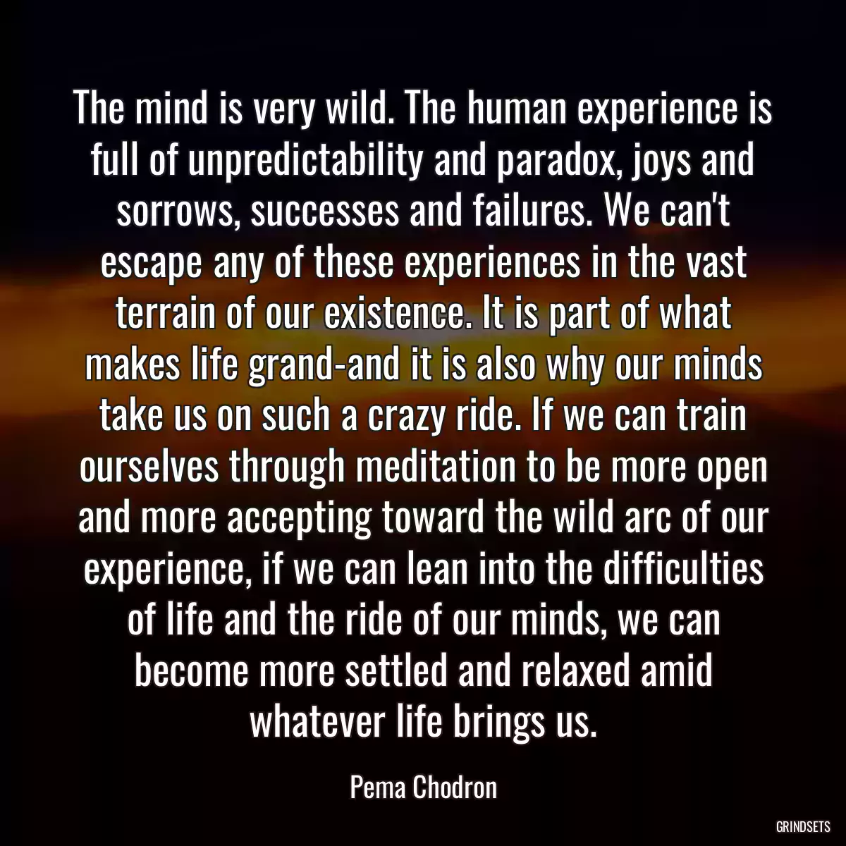 The mind is very wild. The human experience is full of unpredictability and paradox, joys and sorrows, successes and failures. We can\'t escape any of these experiences in the vast terrain of our existence. It is part of what makes life grand-and it is also why our minds take us on such a crazy ride. If we can train ourselves through meditation to be more open and more accepting toward the wild arc of our experience, if we can lean into the difficulties of life and the ride of our minds, we can become more settled and relaxed amid whatever life brings us.