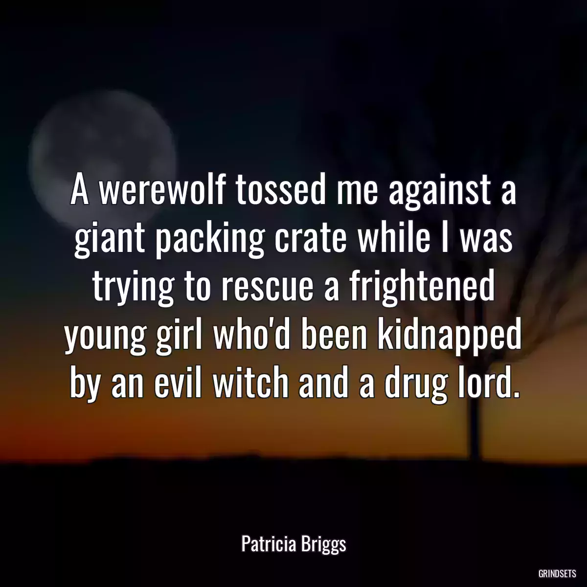 A werewolf tossed me against a giant packing crate while I was trying to rescue a frightened young girl who\'d been kidnapped by an evil witch and a drug lord.