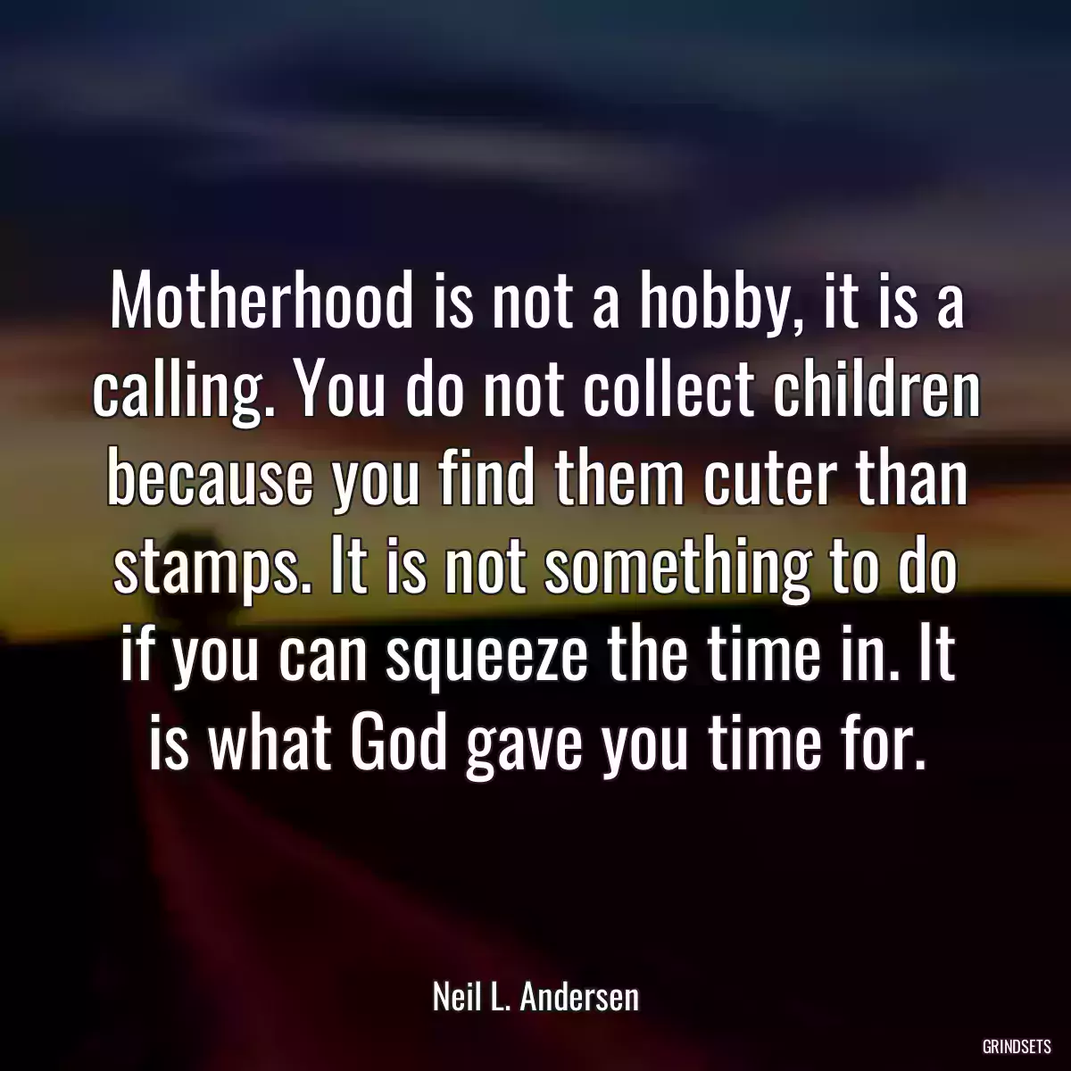 Motherhood is not a hobby, it is a calling. You do not collect children because you find them cuter than stamps. It is not something to do if you can squeeze the time in. It is what God gave you time for.