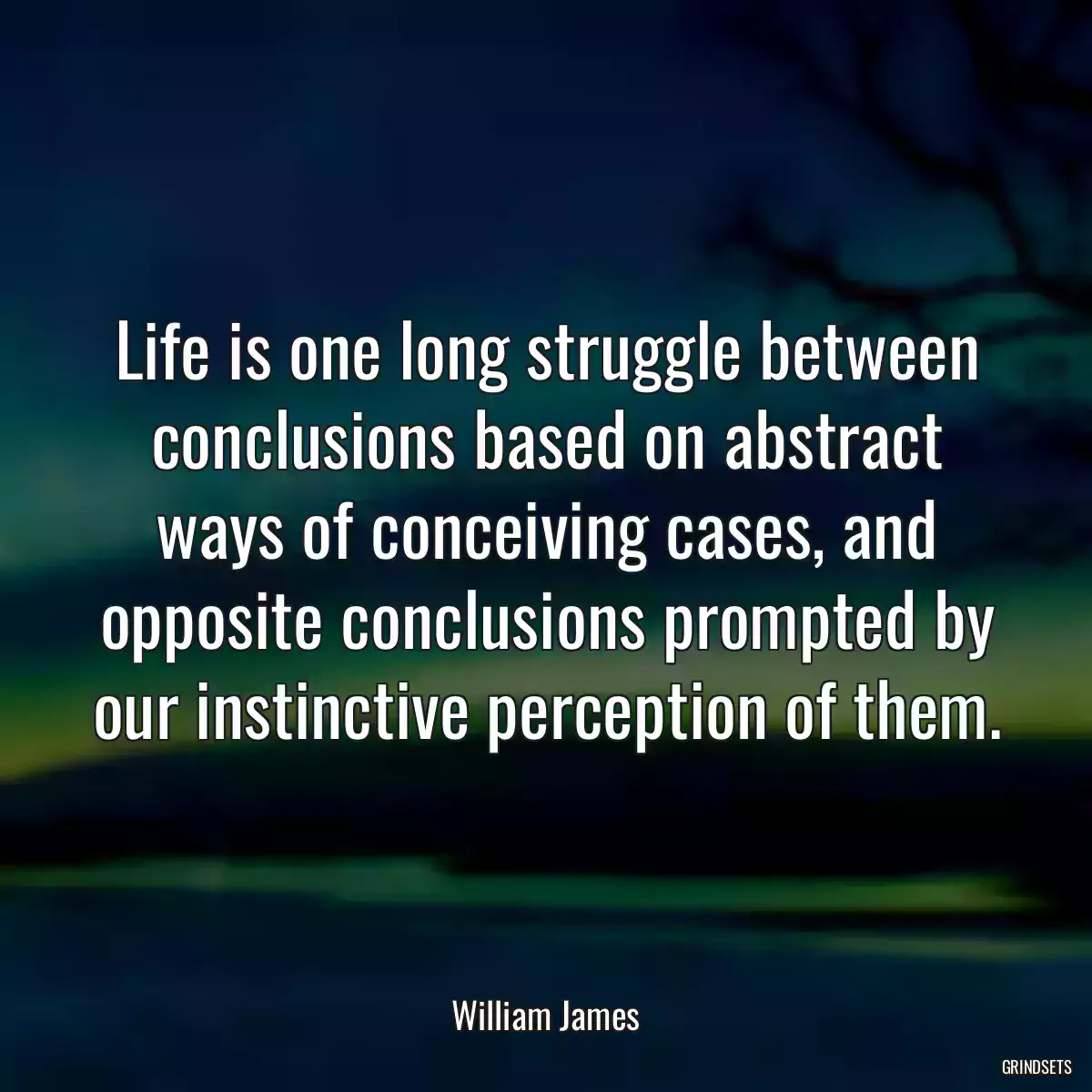 Life is one long struggle between conclusions based on abstract ways of conceiving cases, and opposite conclusions prompted by our instinctive perception of them.