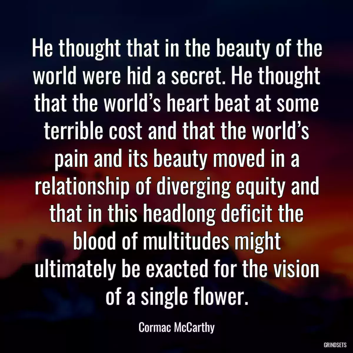 He thought that in the beauty of the world were hid a secret. He thought that the world’s heart beat at some terrible cost and that the world’s pain and its beauty moved in a relationship of diverging equity and that in this headlong deficit the blood of multitudes might ultimately be exacted for the vision of a single flower.