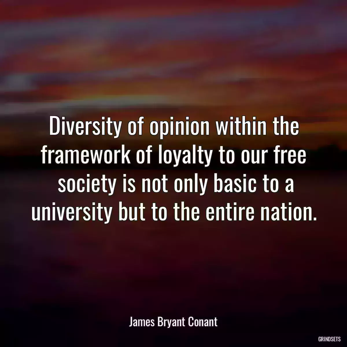 Diversity of opinion within the framework of loyalty to our free
 society is not only basic to a university but to the entire nation.