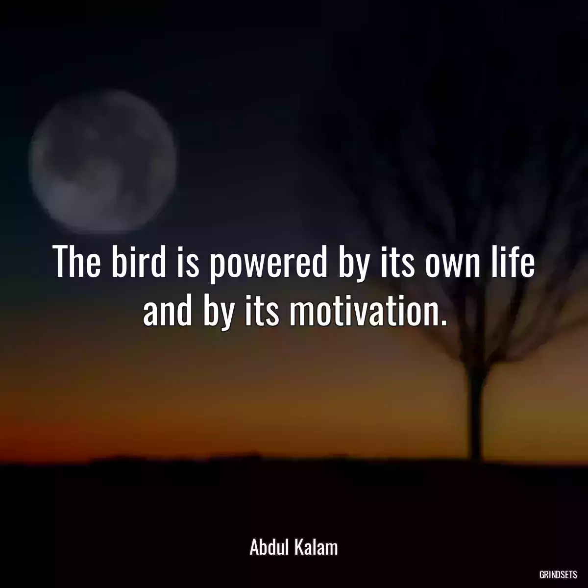 The bird is powered by its own life and by its motivation.