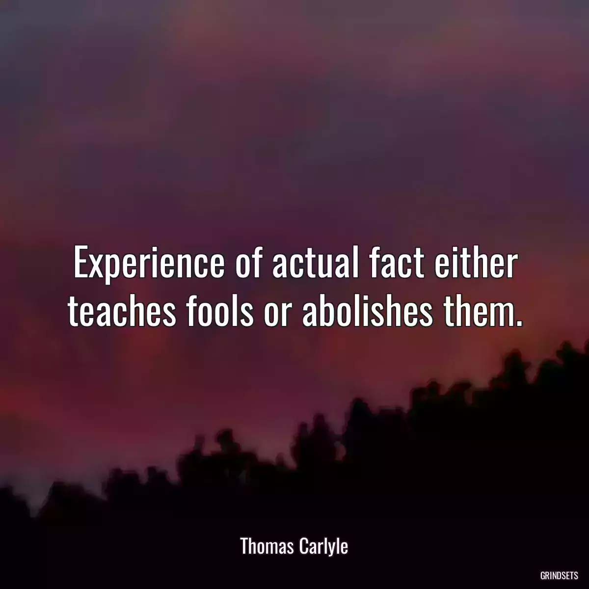 Experience of actual fact either teaches fools or abolishes them.