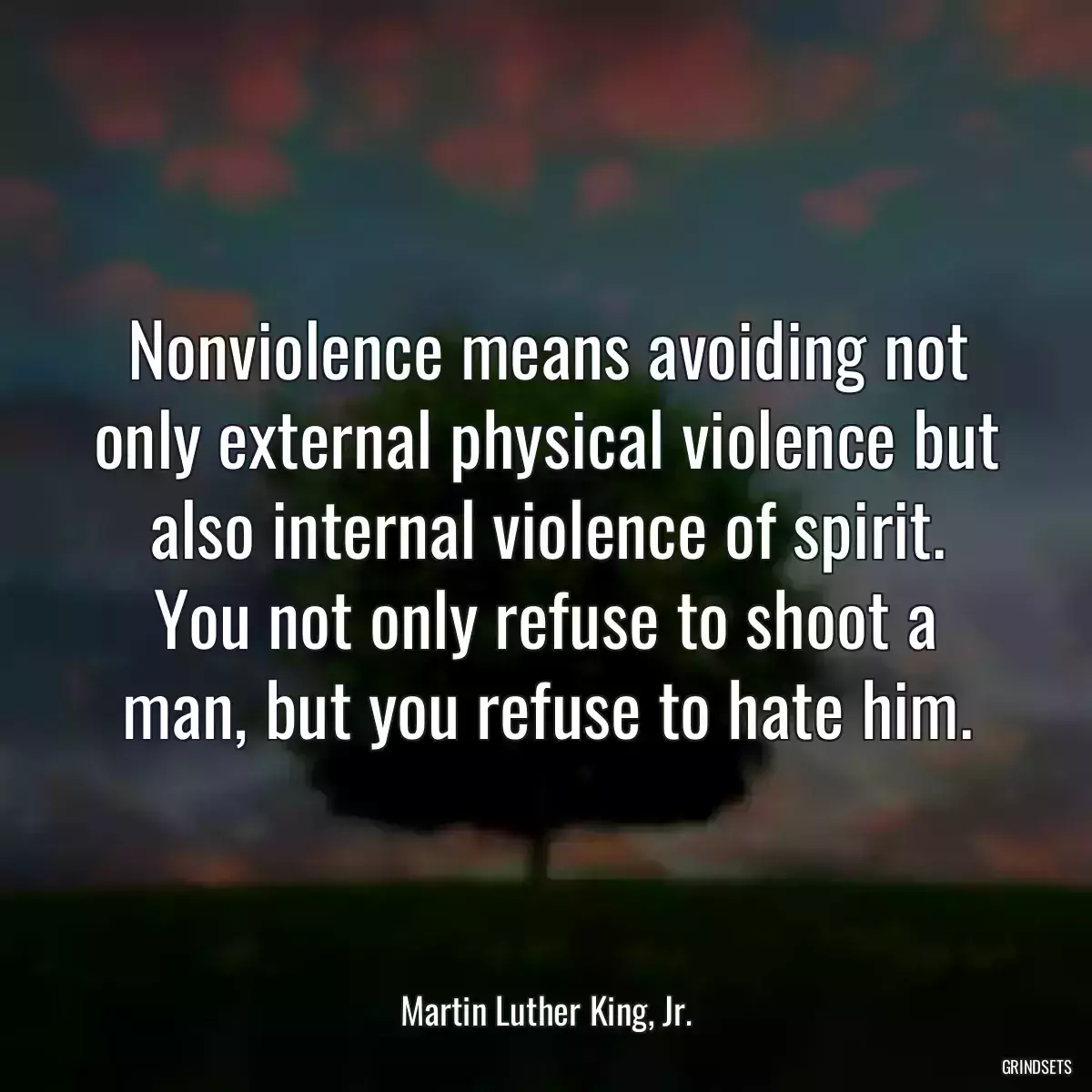 Nonviolence means avoiding not only external physical violence but also internal violence of spirit. You not only refuse to shoot a man, but you refuse to hate him.