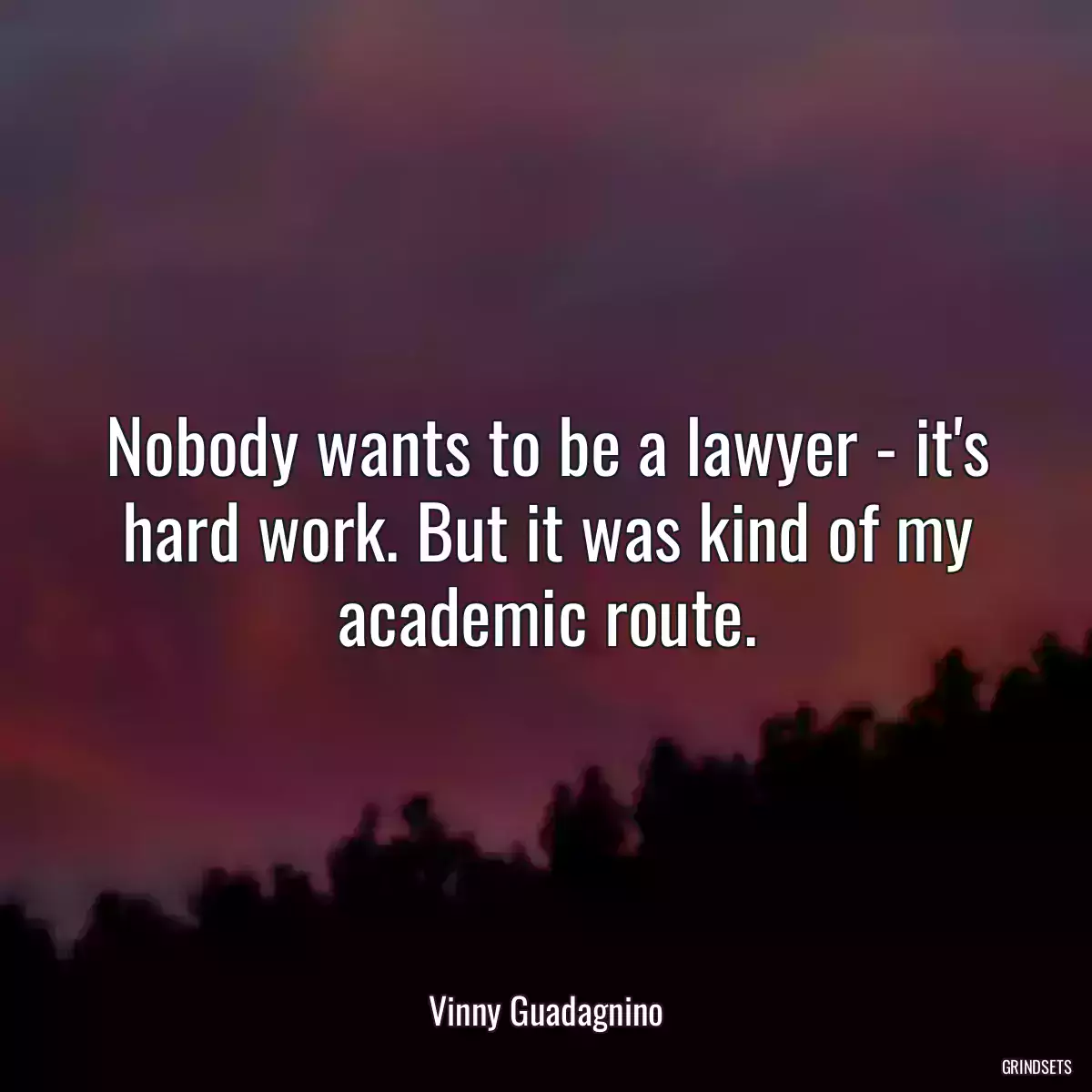 Nobody wants to be a lawyer - it\'s hard work. But it was kind of my academic route.