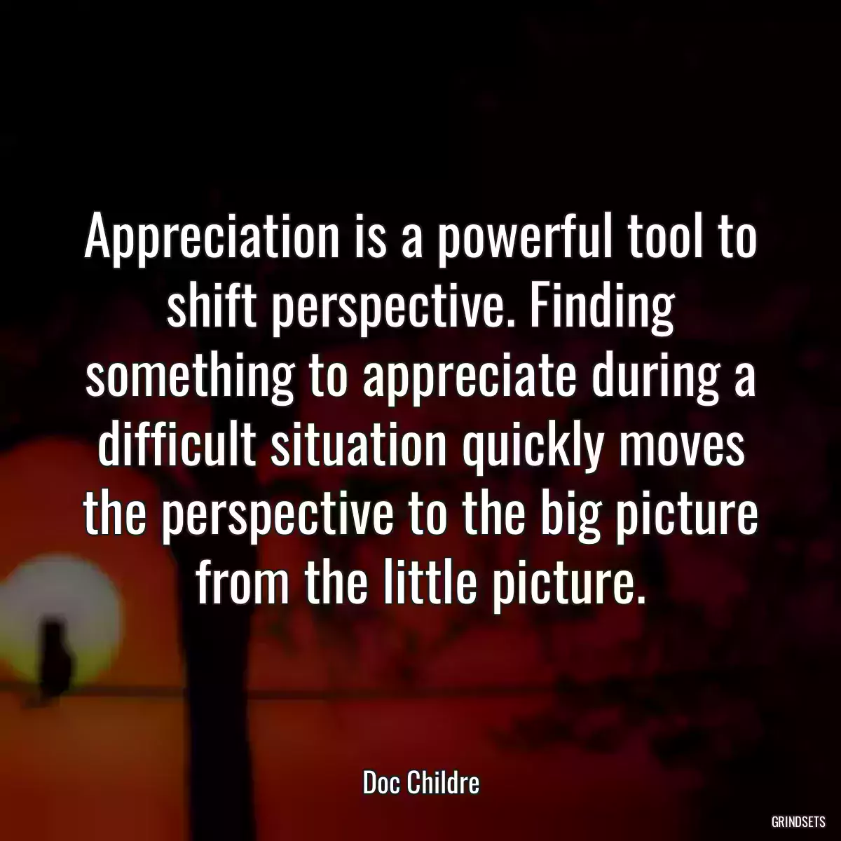 Appreciation is a powerful tool to shift perspective. Finding something to appreciate during a difficult situation quickly moves the perspective to the big picture from the little picture.