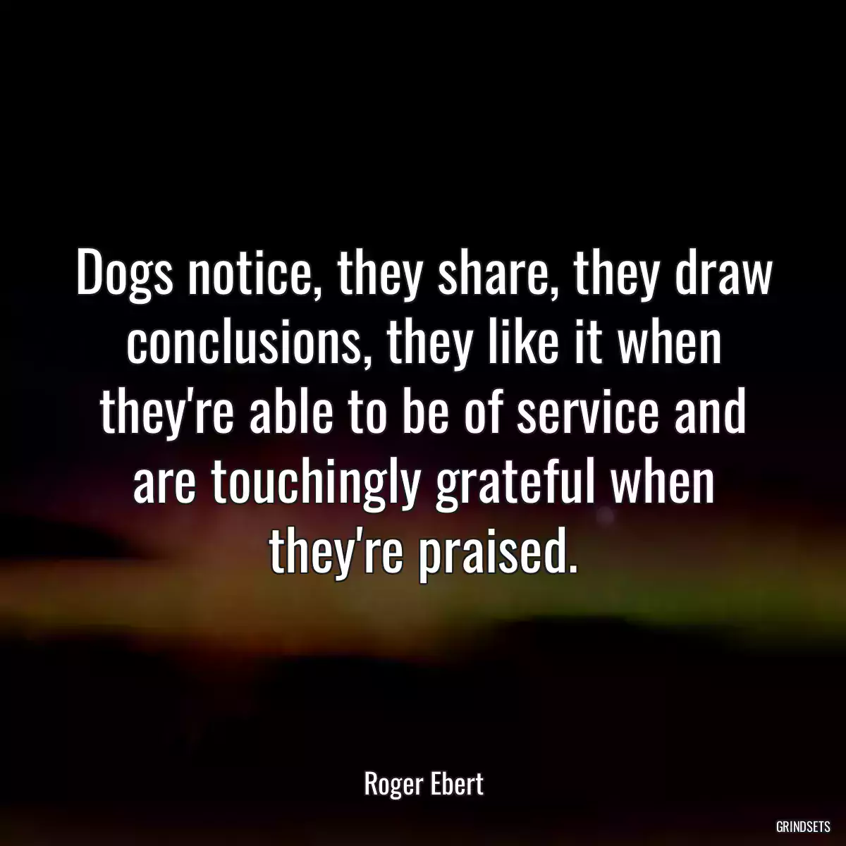 Dogs notice, they share, they draw conclusions, they like it when they\'re able to be of service and are touchingly grateful when they\'re praised.