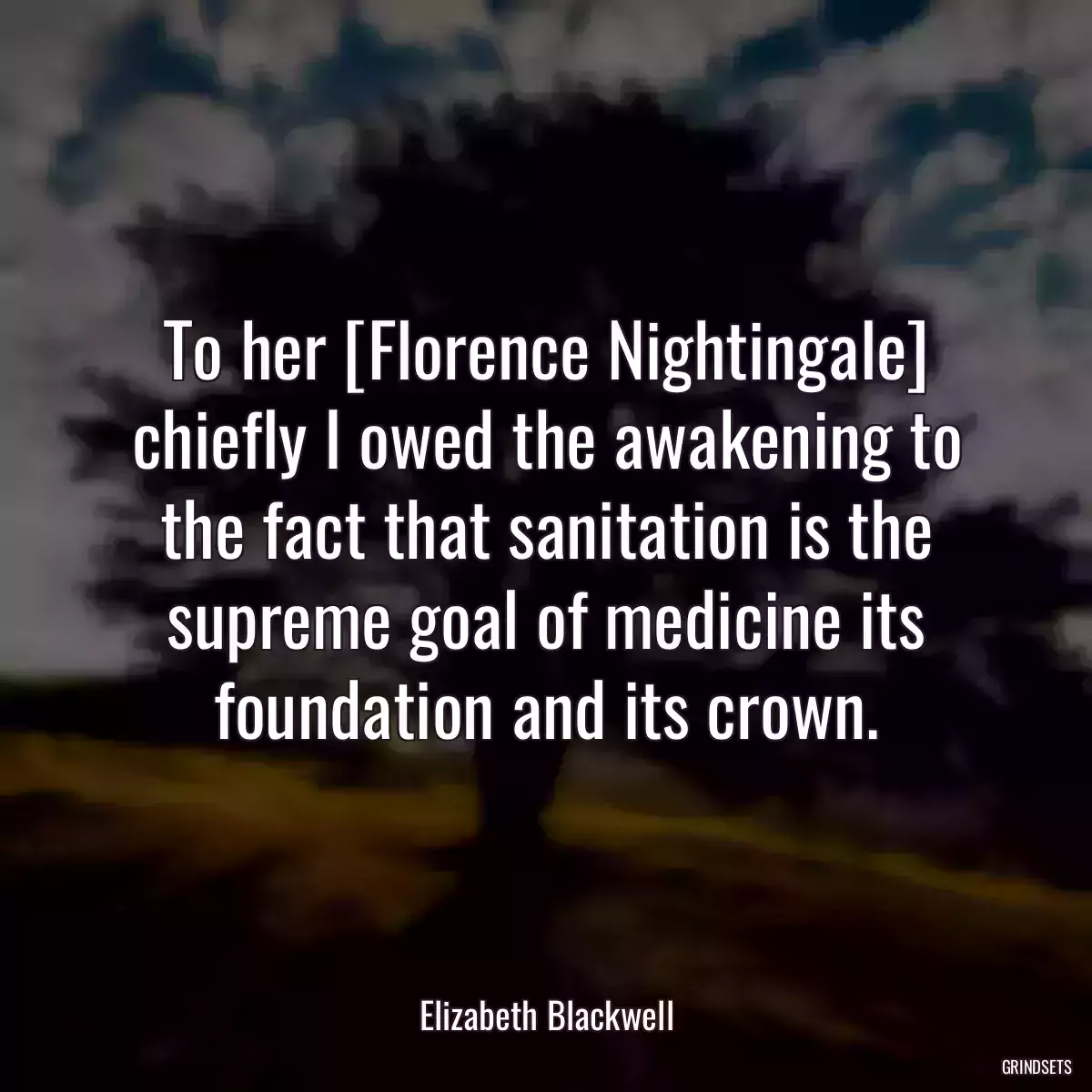 To her [Florence Nightingale] chiefly I owed the awakening to the fact that sanitation is the supreme goal of medicine its foundation and its crown.