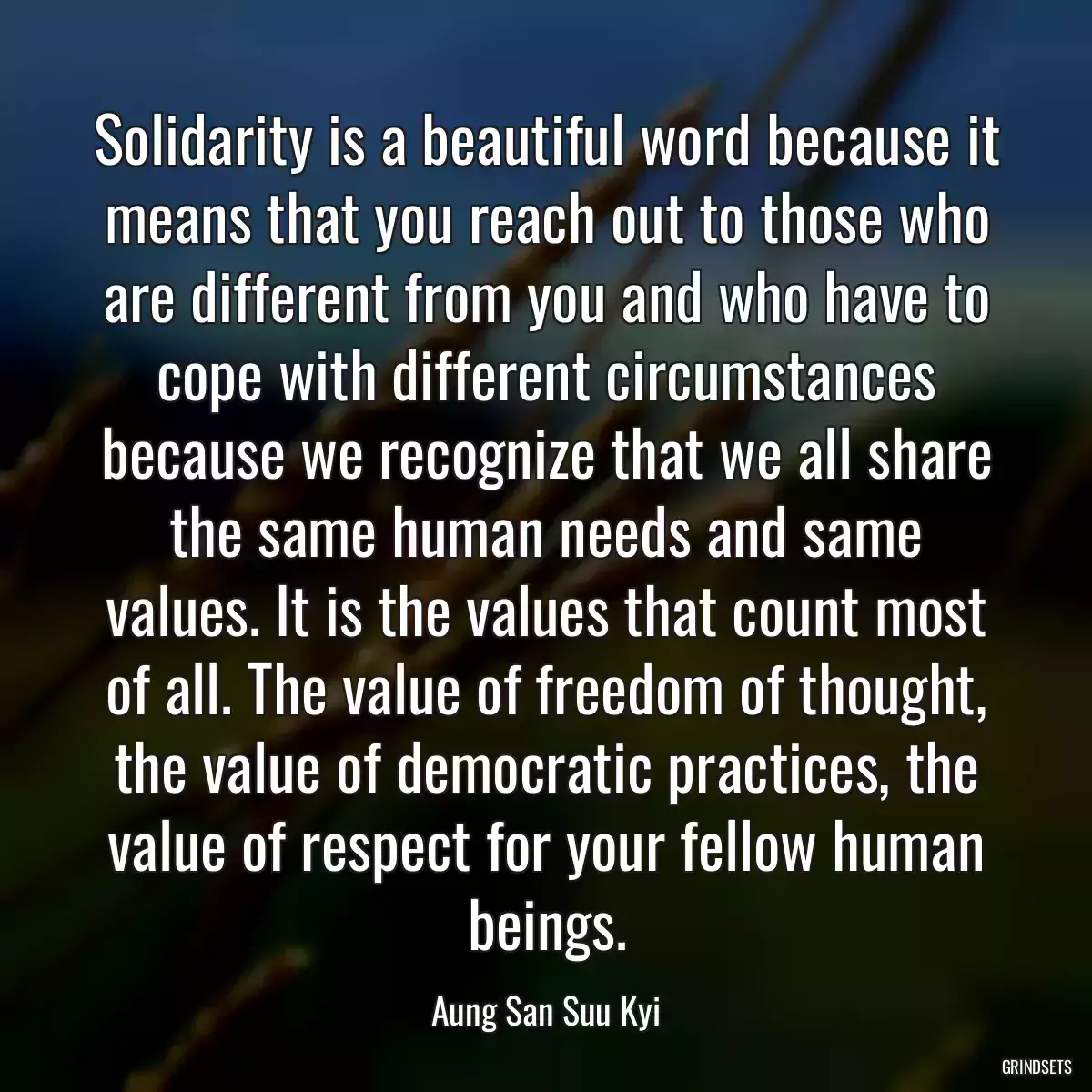 Solidarity is a beautiful word because it means that you reach out to those who are different from you and who have to cope with different circumstances because we recognize that we all share the same human needs and same values. It is the values that count most of all. The value of freedom of thought, the value of democratic practices, the value of respect for your fellow human beings.