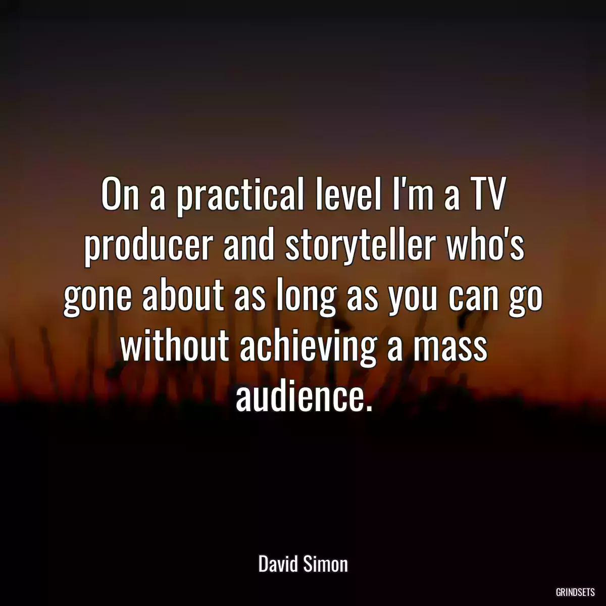 On a practical level I\'m a TV producer and storyteller who\'s gone about as long as you can go without achieving a mass audience.