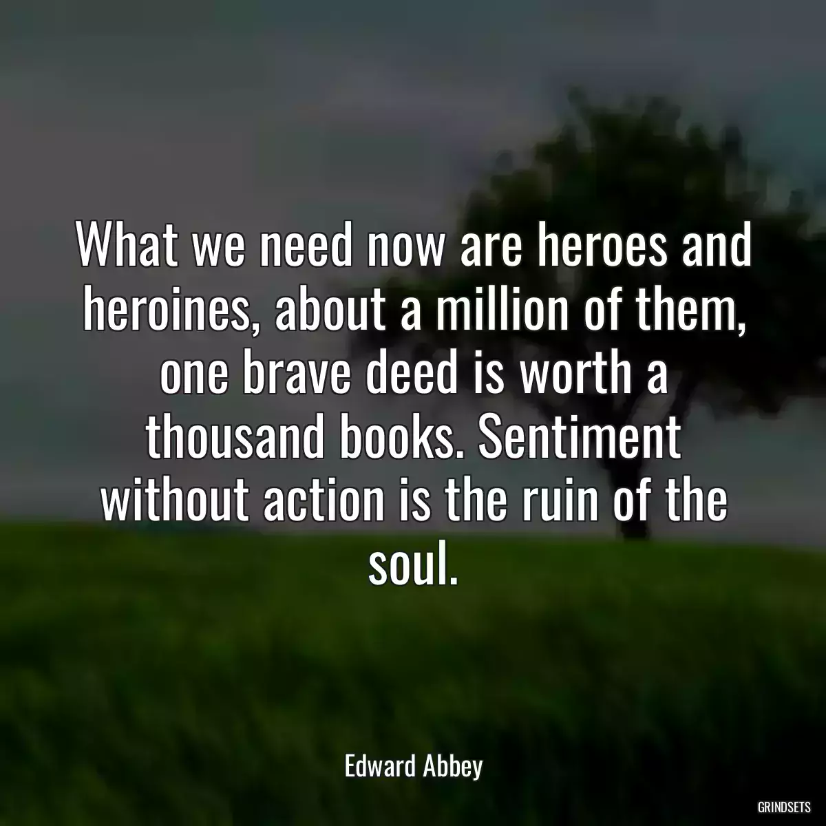 What we need now are heroes and heroines, about a million of them, one brave deed is worth a thousand books. Sentiment without action is the ruin of the soul.