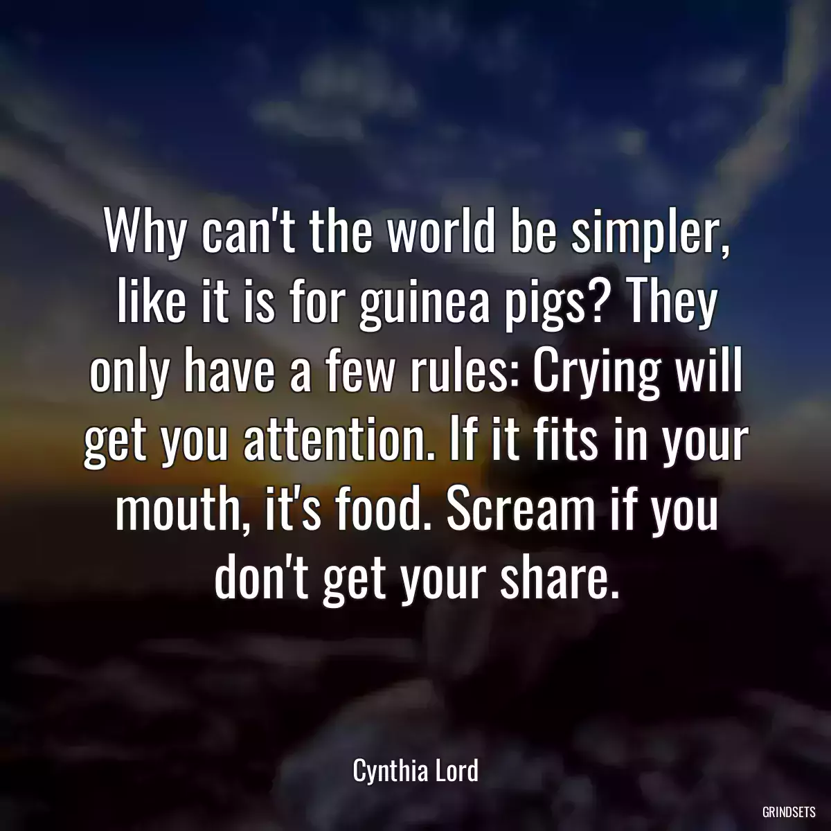 Why can\'t the world be simpler, like it is for guinea pigs? They only have a few rules: Crying will get you attention. If it fits in your mouth, it\'s food. Scream if you don\'t get your share.