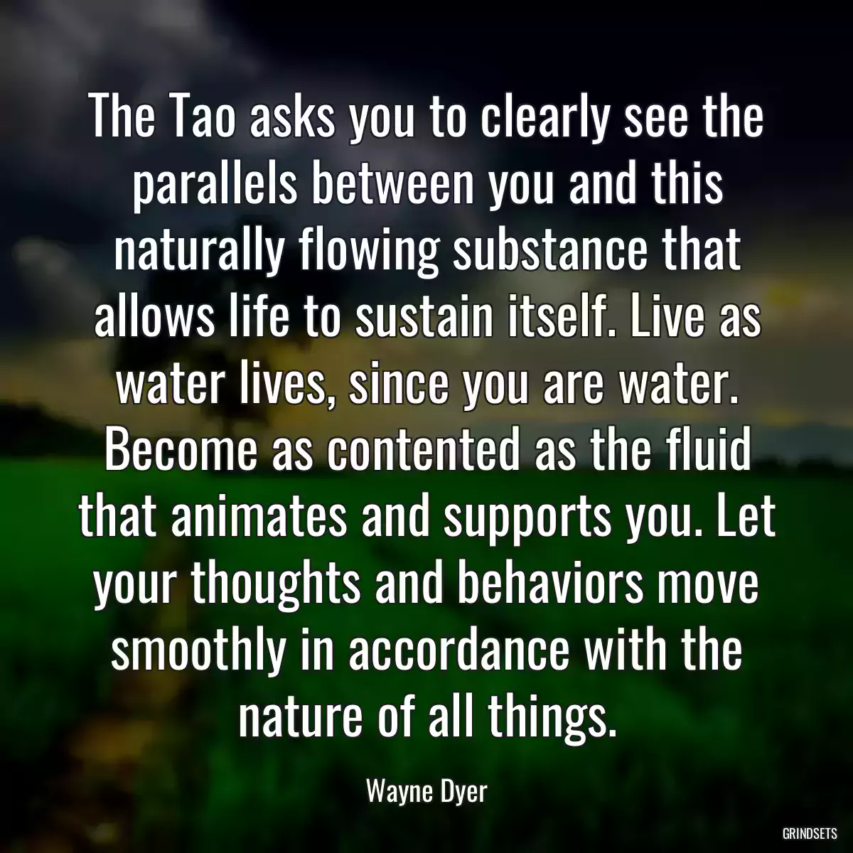 The Tao asks you to clearly see the parallels between you and this naturally flowing substance that allows life to sustain itself. Live as water lives, since you are water. Become as contented as the fluid that animates and supports you. Let your thoughts and behaviors move smoothly in accordance with the nature of all things.