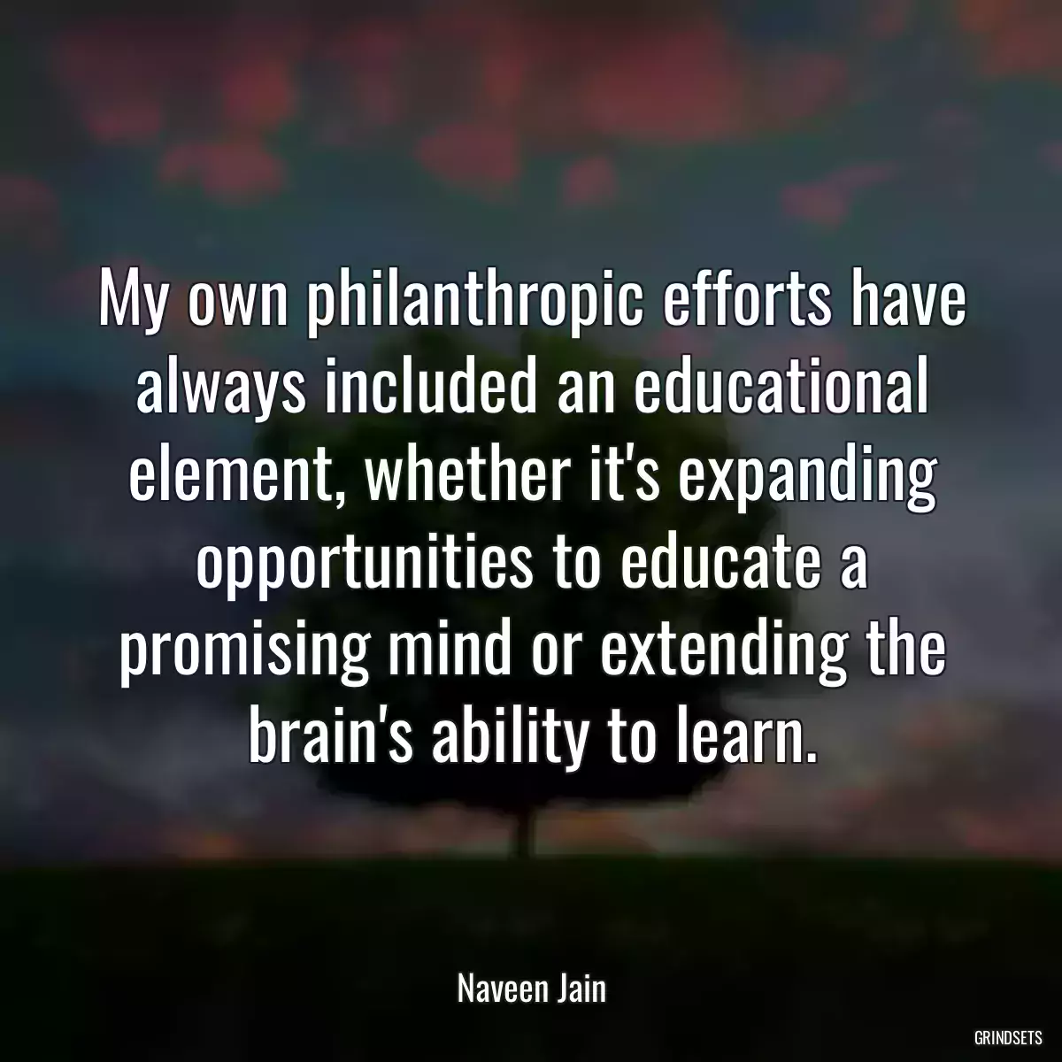 My own philanthropic efforts have always included an educational element, whether it\'s expanding opportunities to educate a promising mind or extending the brain\'s ability to learn.