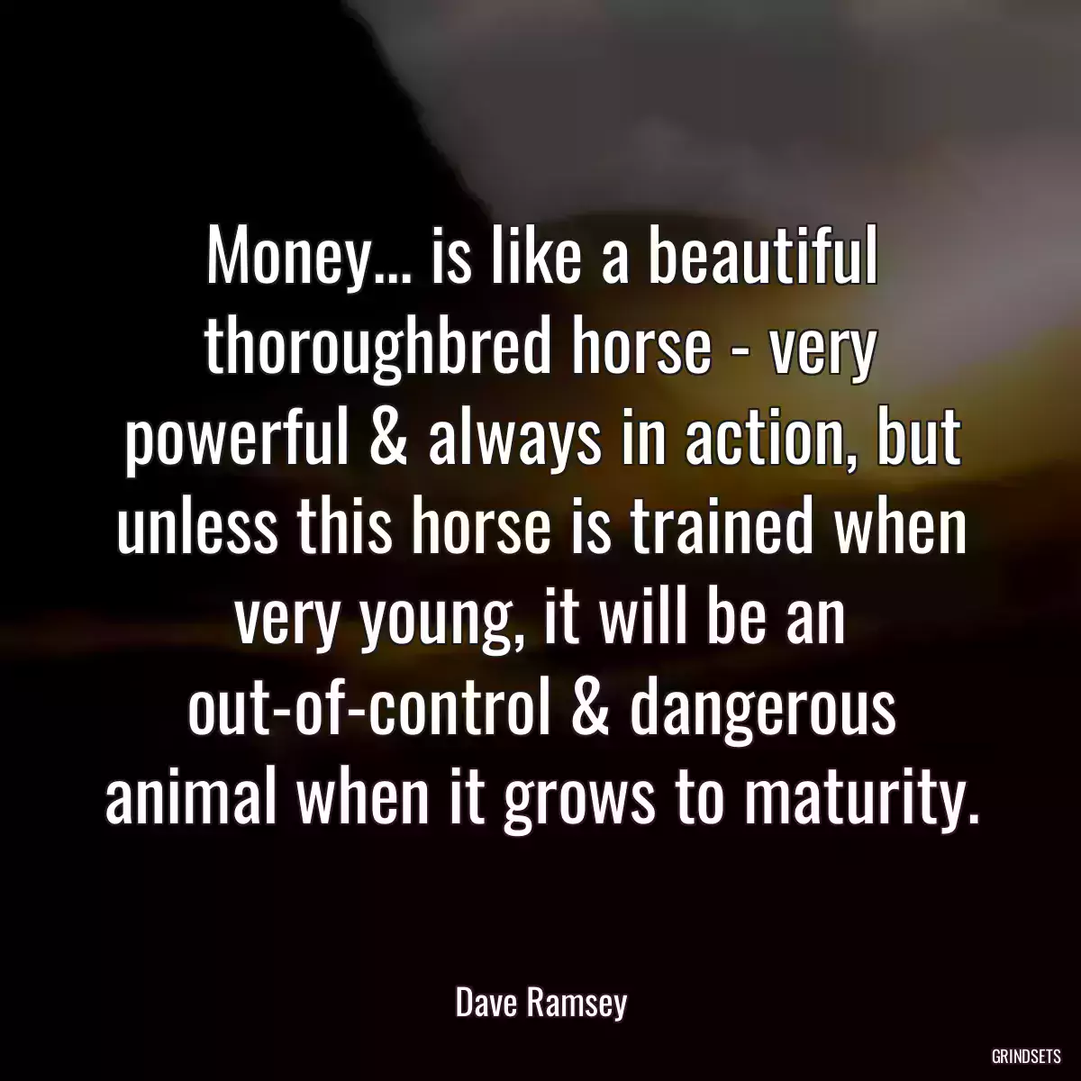 Money... is like a beautiful thoroughbred horse - very powerful & always in action, but unless this horse is trained when very young, it will be an out-of-control & dangerous animal when it grows to maturity.