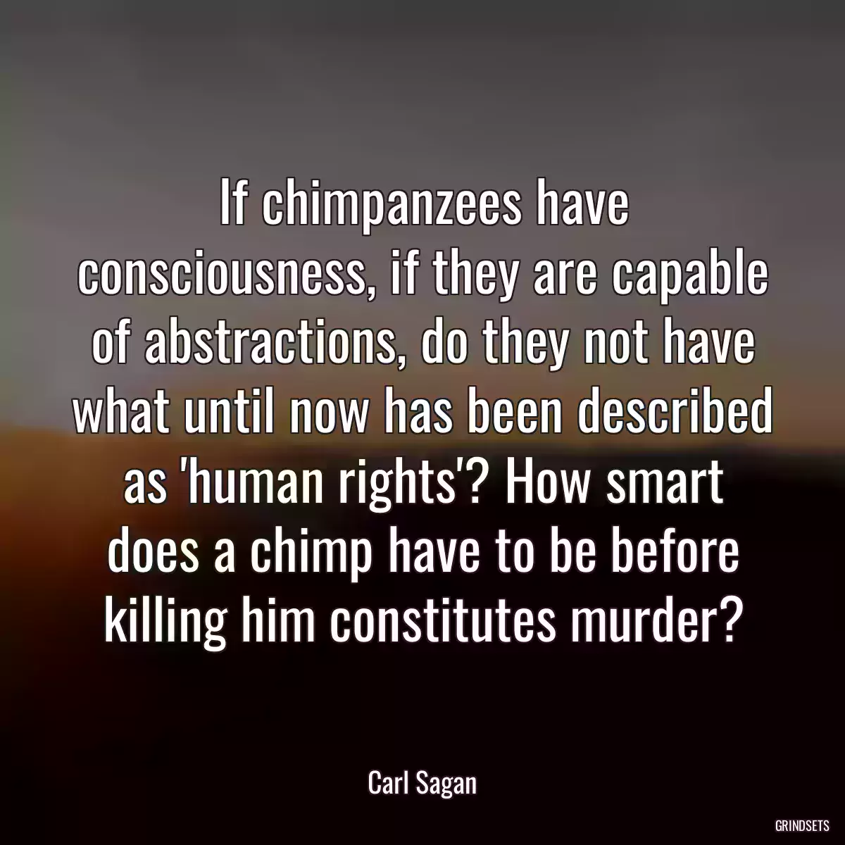 If chimpanzees have consciousness, if they are capable of abstractions, do they not have what until now has been described as \'human rights\'? How smart does a chimp have to be before killing him constitutes murder?