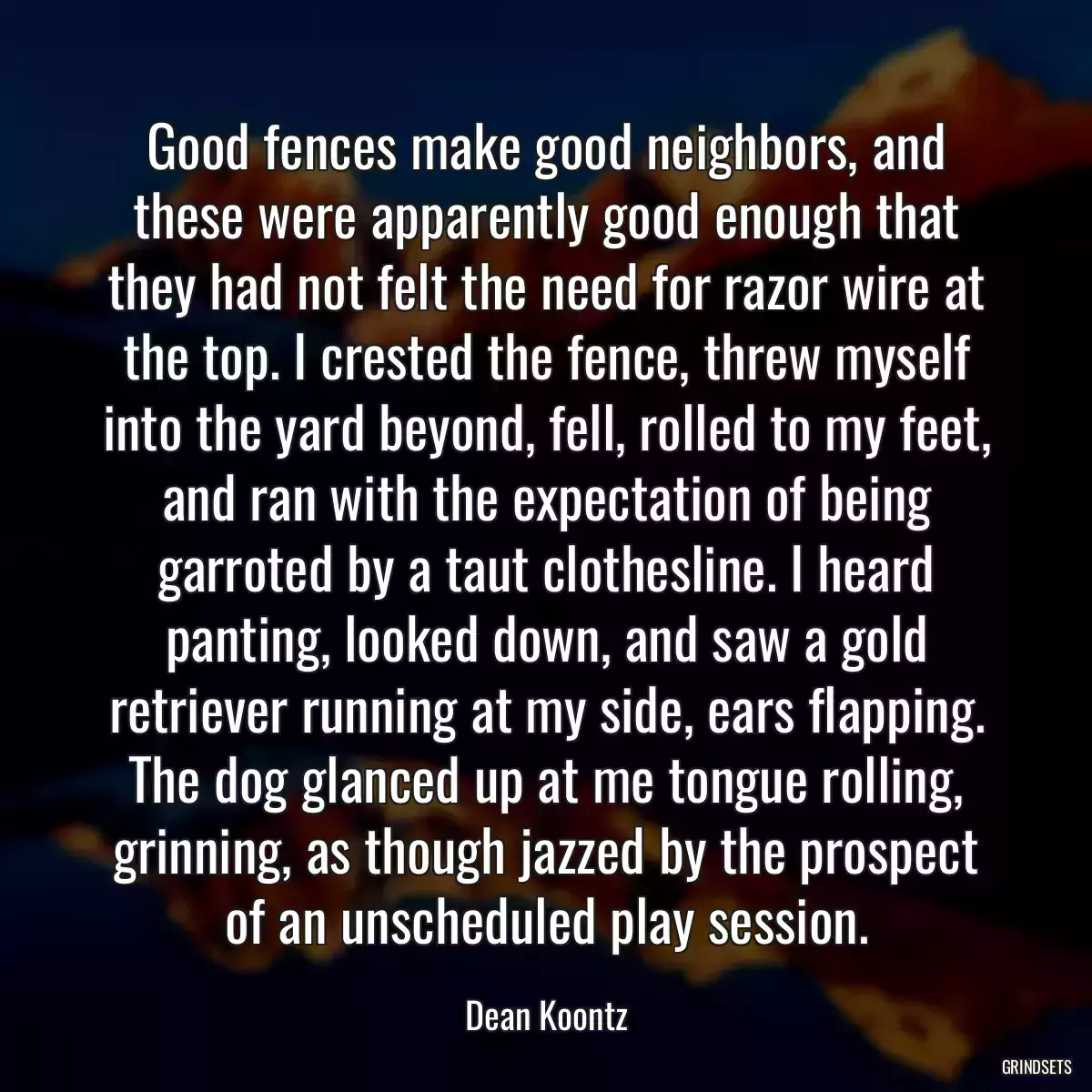 Good fences make good neighbors, and these were apparently good enough that they had not felt the need for razor wire at the top. I crested the fence, threw myself into the yard beyond, fell, rolled to my feet, and ran with the expectation of being garroted by a taut clothesline. I heard panting, looked down, and saw a gold retriever running at my side, ears flapping. The dog glanced up at me tongue rolling, grinning, as though jazzed by the prospect of an unscheduled play session.