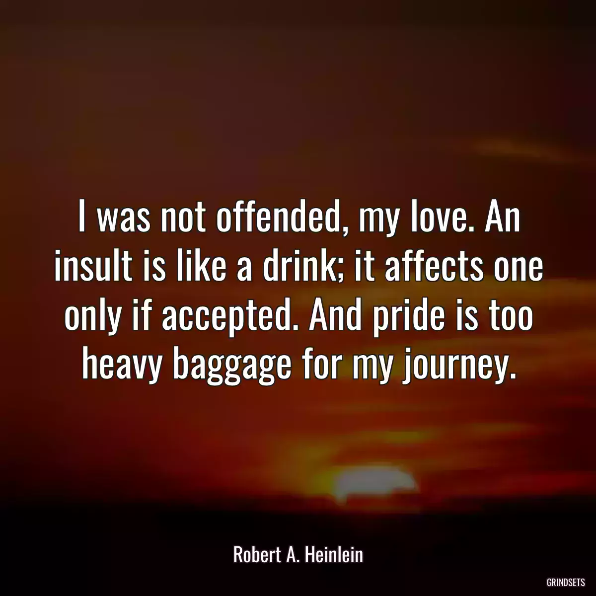 I was not offended, my love. An insult is like a drink; it affects one only if accepted. And pride is too heavy baggage for my journey.