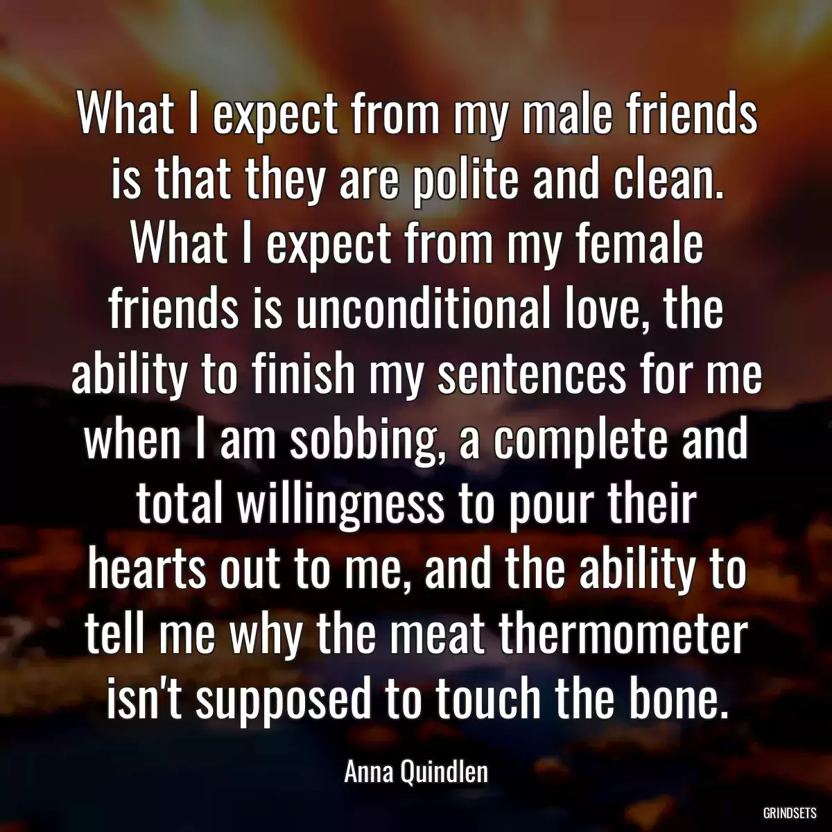 What I expect from my male friends is that they are polite and clean. What I expect from my female friends is unconditional love, the ability to finish my sentences for me when I am sobbing, a complete and total willingness to pour their hearts out to me, and the ability to tell me why the meat thermometer isn\'t supposed to touch the bone.