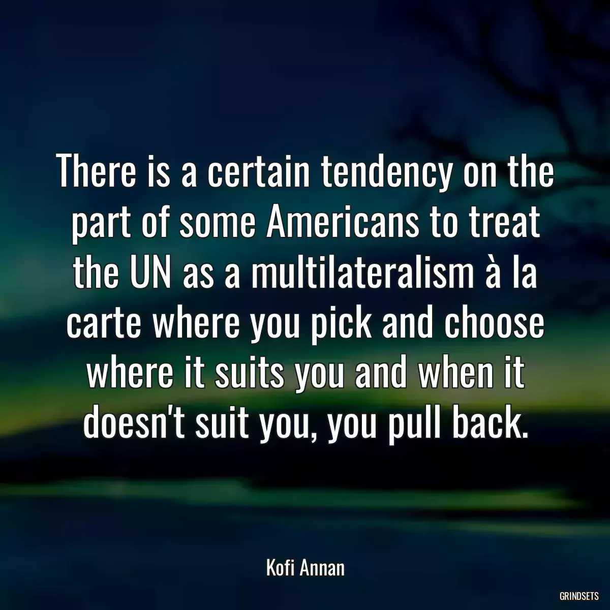 There is a certain tendency on the part of some Americans to treat the UN as a multilateralism à la carte where you pick and choose where it suits you and when it doesn\'t suit you, you pull back.