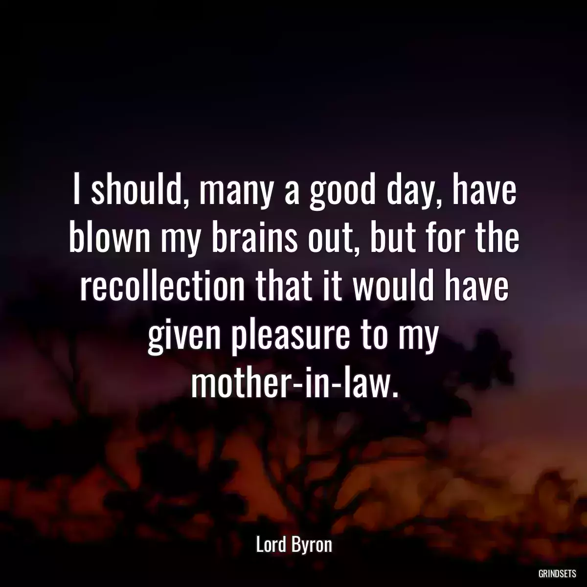 I should, many a good day, have blown my brains out, but for the recollection that it would have given pleasure to my mother-in-law.