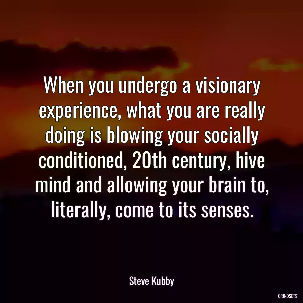 When you undergo a visionary experience, what you are really doing is blowing your socially conditioned, 20th century, hive mind and allowing your brain to, literally, come to its senses.