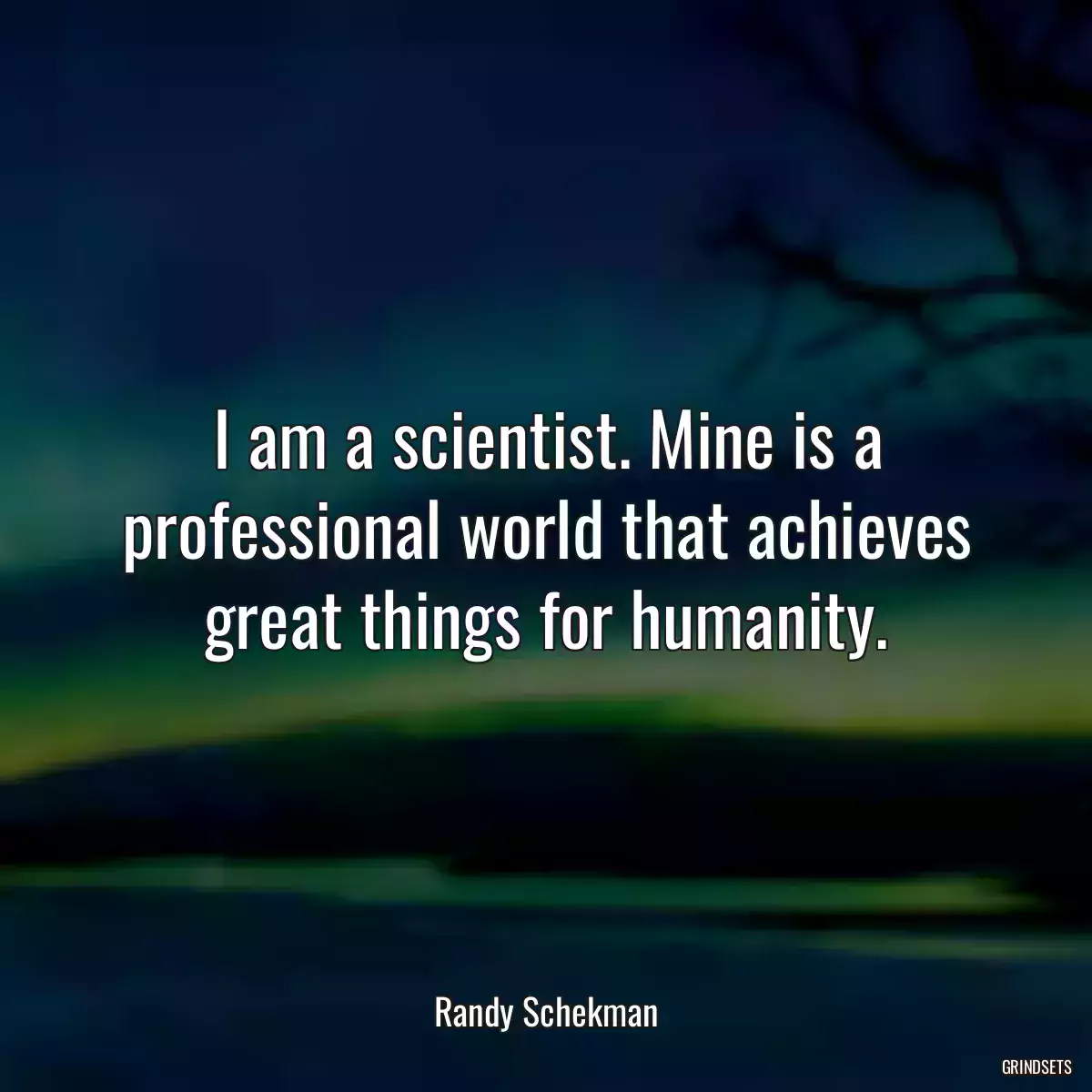 I am a scientist. Mine is a professional world that achieves great things for humanity.