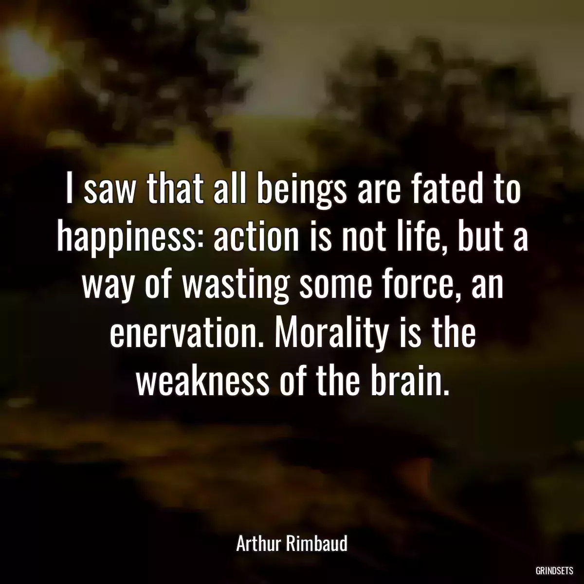 I saw that all beings are fated to happiness: action is not life, but a way of wasting some force, an enervation. Morality is the weakness of the brain.