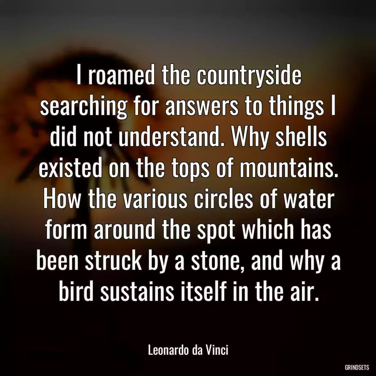 I roamed the countryside searching for answers to things I did not understand. Why shells existed on the tops of mountains. How the various circles of water form around the spot which has been struck by a stone, and why a bird sustains itself in the air.