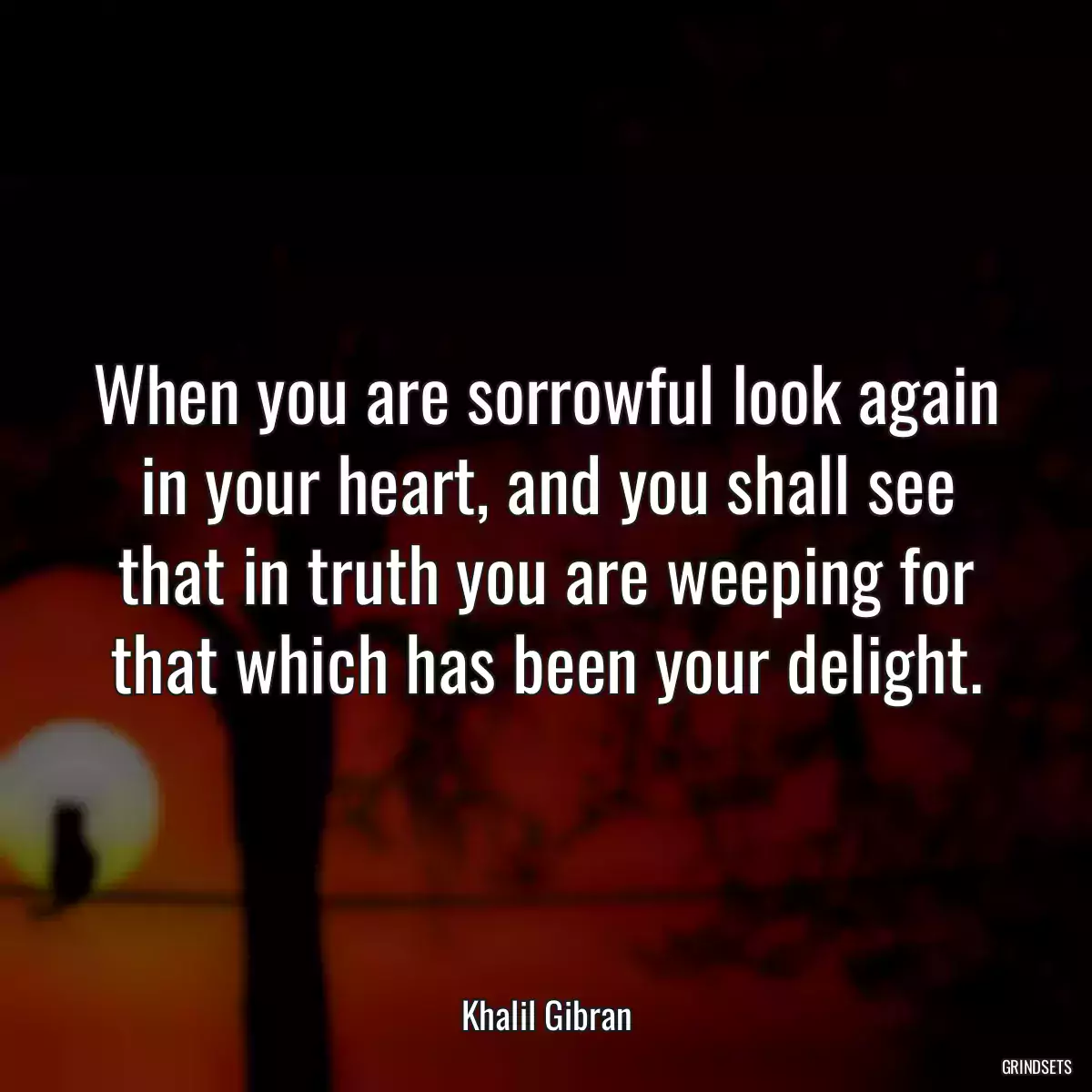 When you are sorrowful look again in your heart, and you shall see that in truth you are weeping for that which has been your delight.