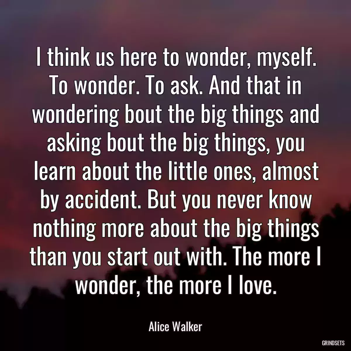 I think us here to wonder, myself. To wonder. To ask. And that in wondering bout the big things and asking bout the big things, you learn about the little ones, almost by accident. But you never know nothing more about the big things than you start out with. The more I wonder, the more I love.