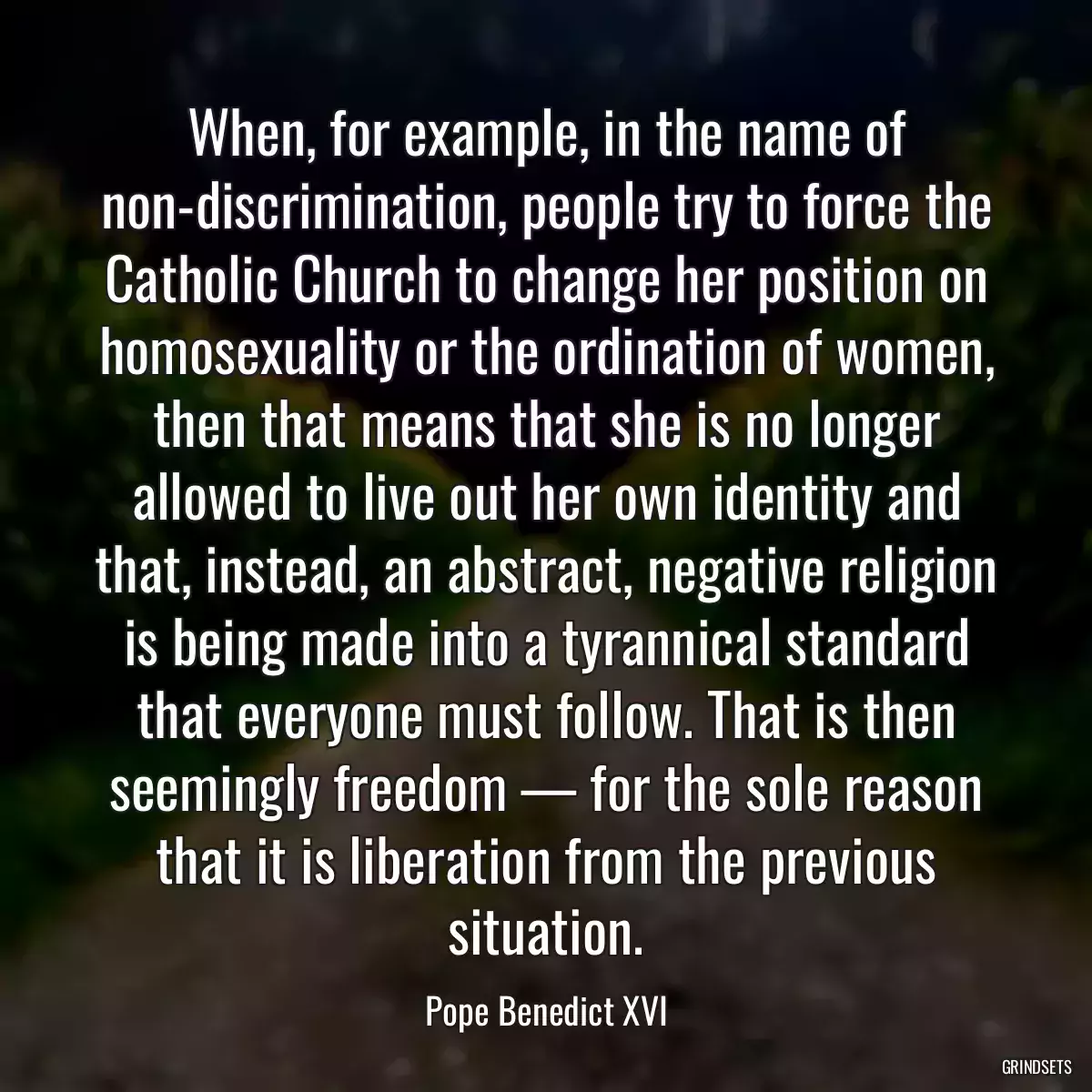 When, for example, in the name of non-discrimination, people try to force the Catholic Church to change her position on homosexuality or the ordination of women, then that means that she is no longer allowed to live out her own identity and that, instead, an abstract, negative religion is being made into a tyrannical standard that everyone must follow. That is then seemingly freedom — for the sole reason that it is liberation from the previous situation.