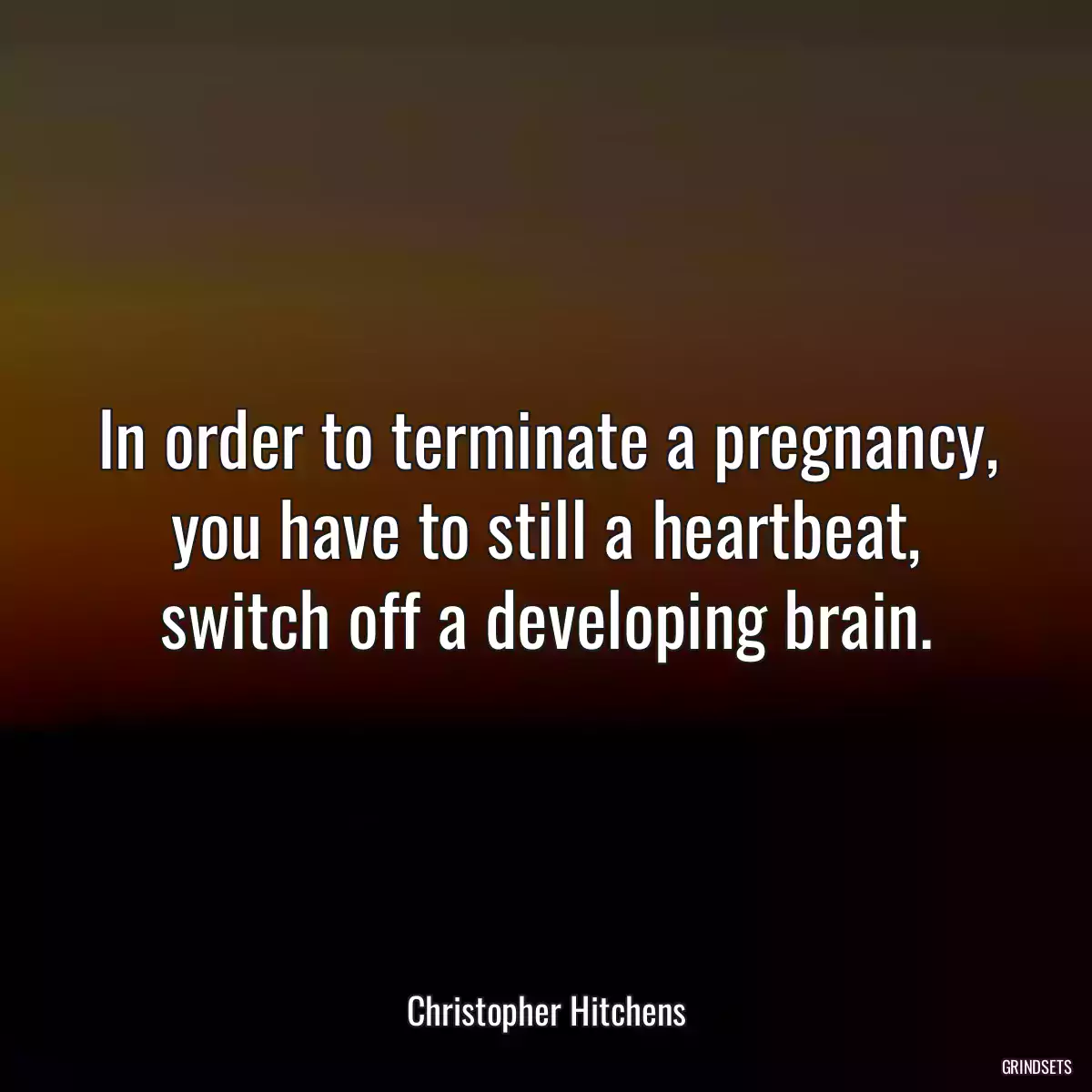 In order to terminate a pregnancy, you have to still a heartbeat, switch off a developing brain.