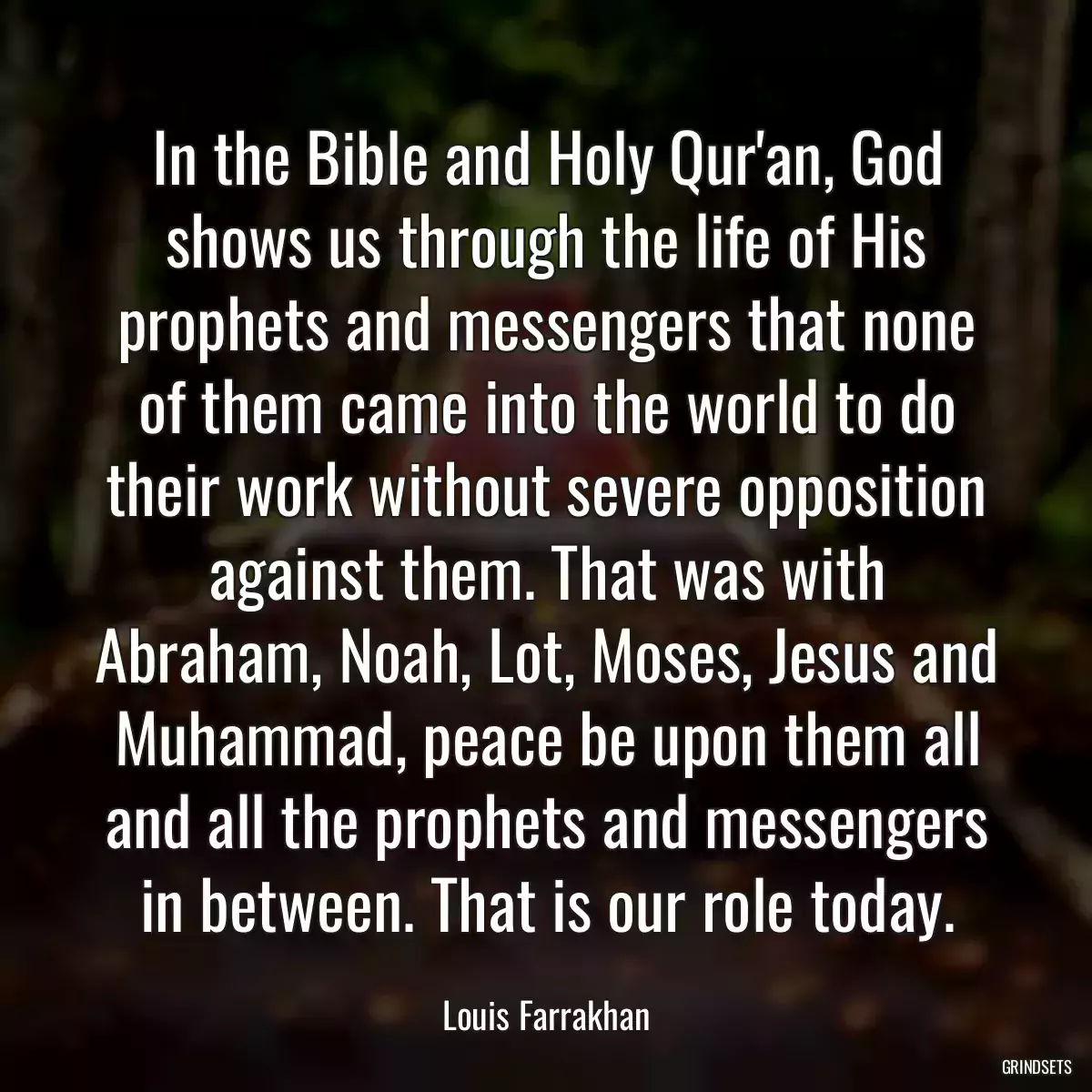 In the Bible and Holy Qur\'an, God shows us through the life of His prophets and messengers that none of them came into the world to do their work without severe opposition against them. That was with Abraham, Noah, Lot, Moses, Jesus and Muhammad, peace be upon them all and all the prophets and messengers in between. That is our role today.