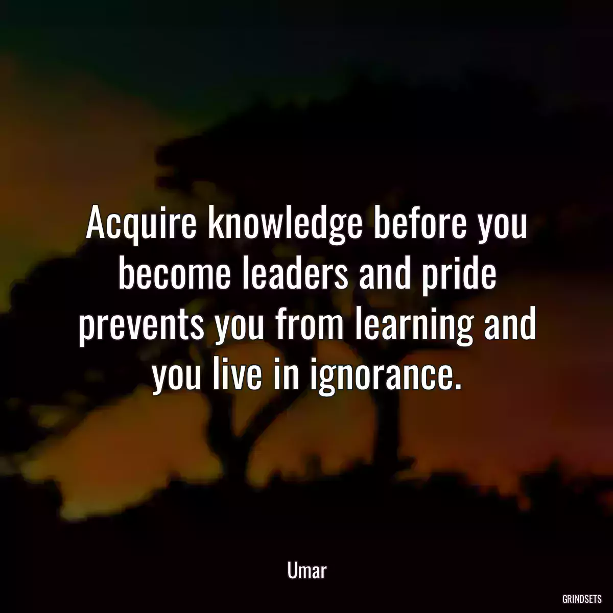 Acquire knowledge before you become leaders and pride prevents you from learning and you live in ignorance.