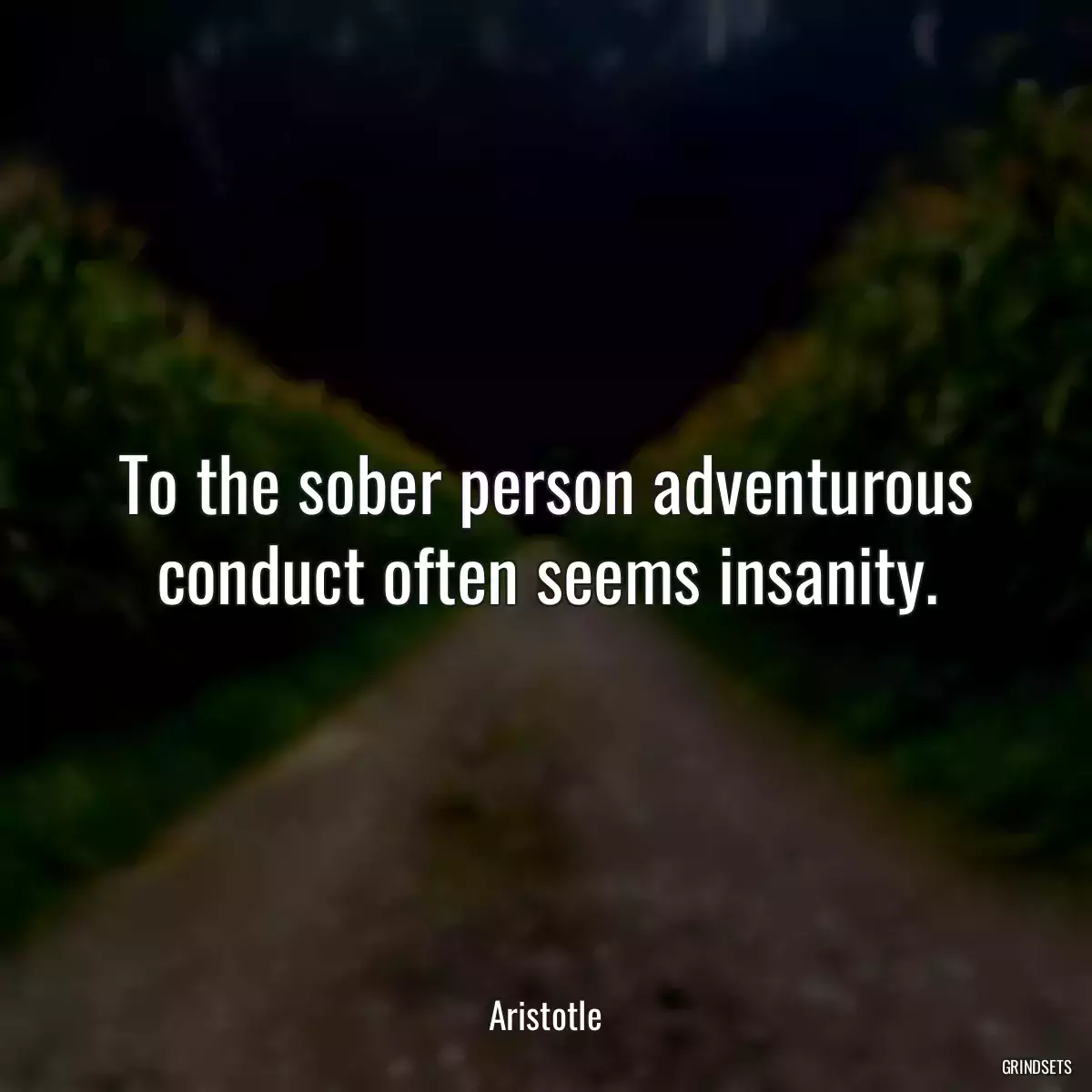 To the sober person adventurous conduct often seems insanity.