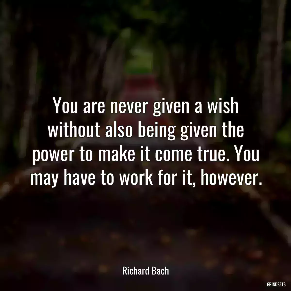 You are never given a wish without also being given the power to make it come true. You may have to work for it, however.