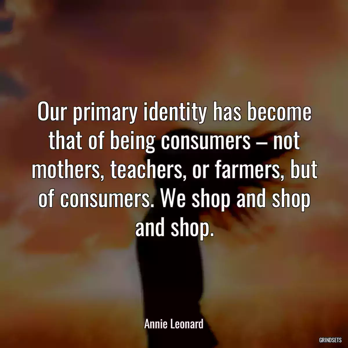 Our primary identity has become that of being consumers – not mothers, teachers, or farmers, but of consumers. We shop and shop and shop.