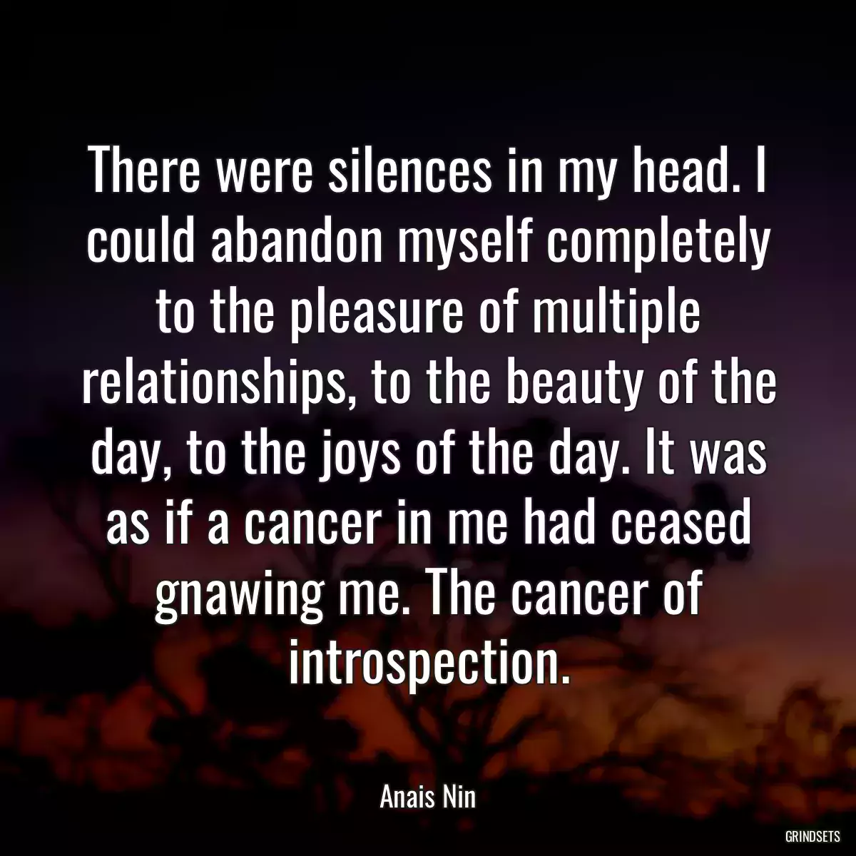 There were silences in my head. I could abandon myself completely to the pleasure of multiple relationships, to the beauty of the day, to the joys of the day. It was as if a cancer in me had ceased gnawing me. The cancer of introspection.