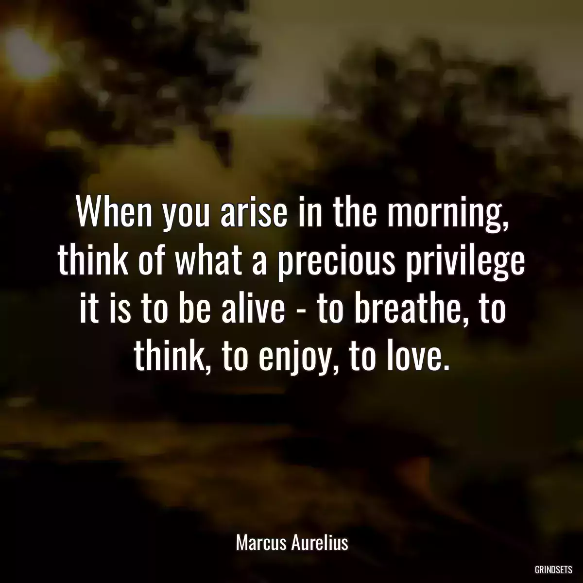 When you arise in the morning, think of what a precious privilege it is to be alive - to breathe, to think, to enjoy, to love.