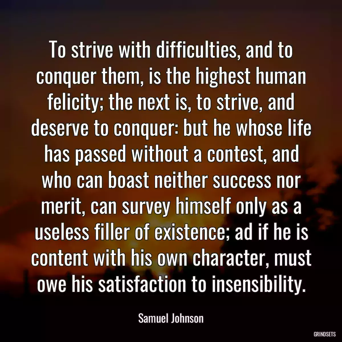 To strive with difficulties, and to conquer them, is the highest human felicity; the next is, to strive, and deserve to conquer: but he whose life has passed without a contest, and who can boast neither success nor merit, can survey himself only as a useless filler of existence; ad if he is content with his own character, must owe his satisfaction to insensibility.