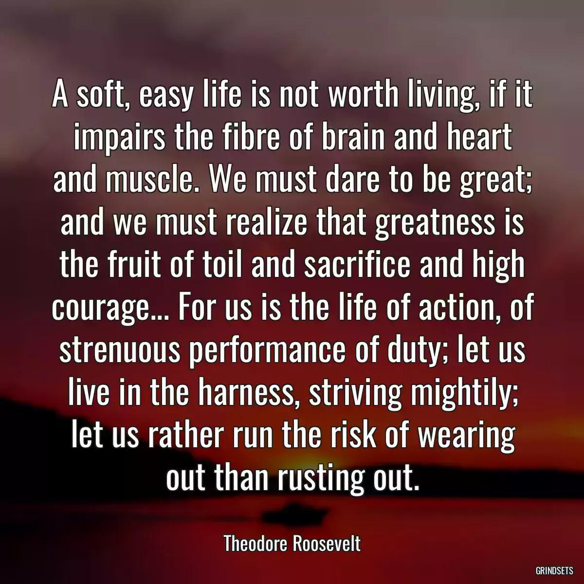 A soft, easy life is not worth living, if it impairs the fibre of brain and heart and muscle. We must dare to be great; and we must realize that greatness is the fruit of toil and sacrifice and high courage... For us is the life of action, of strenuous performance of duty; let us live in the harness, striving mightily; let us rather run the risk of wearing out than rusting out.